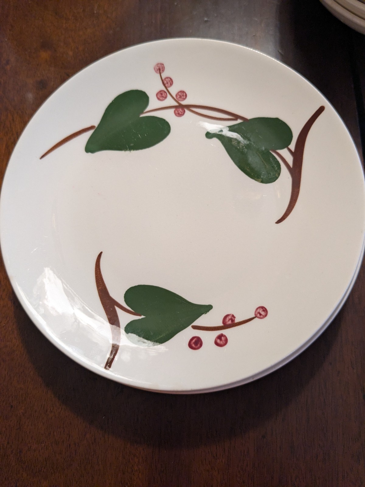 Blue Ridge Stanhome Ivy 17 Piece Set of Dishes.