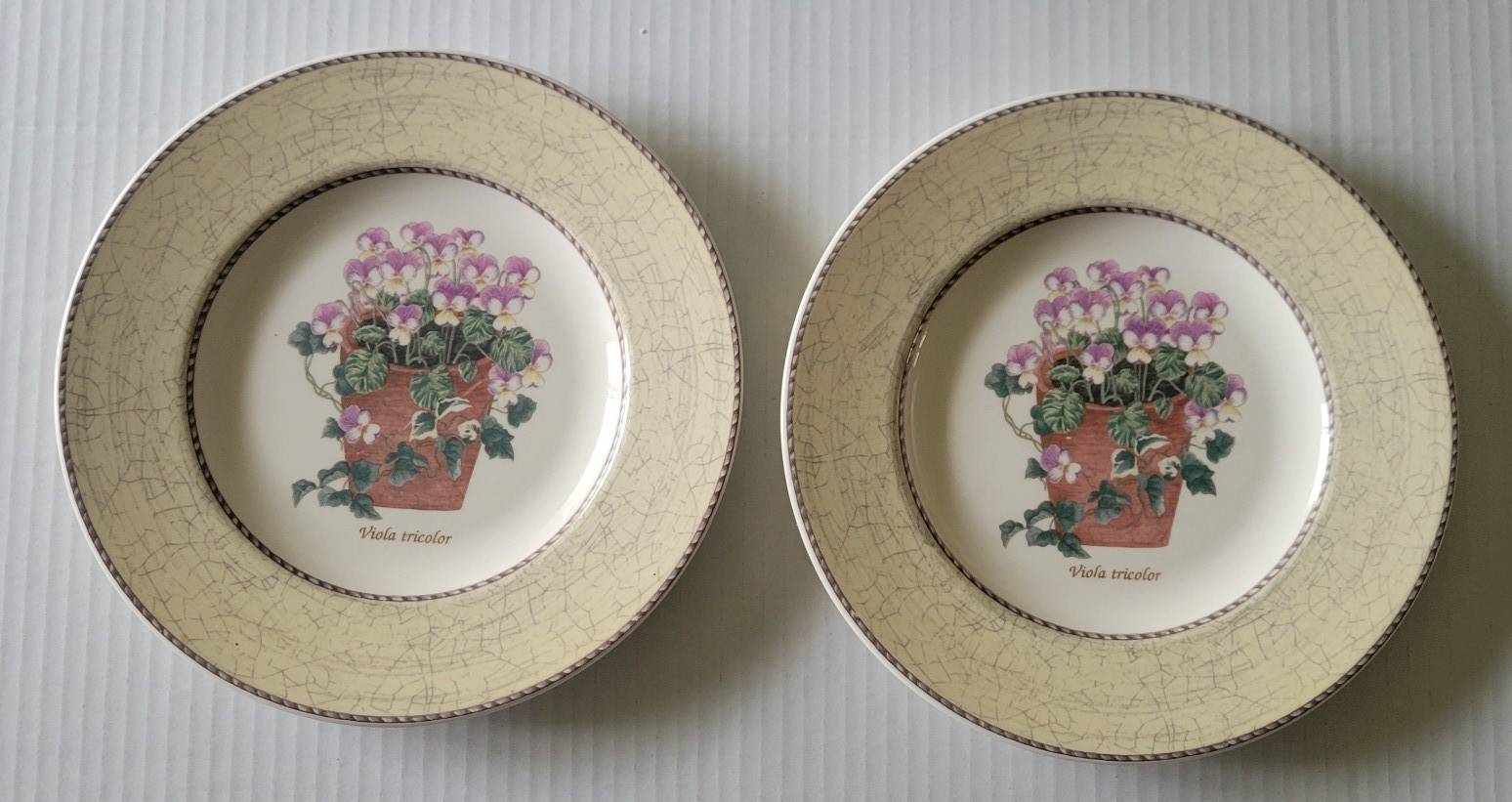 Lot of 6 Wedgwood Sarah’s Garden Salad Plates Blue-Yellow/Lt Tan-Green **READ**