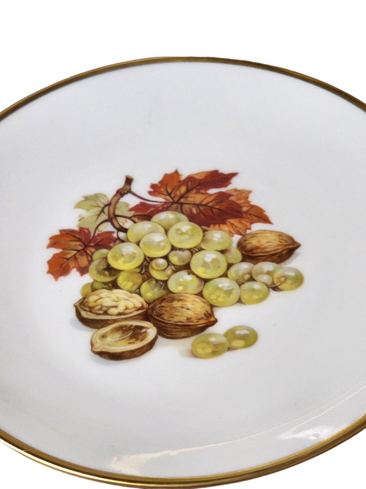 Alboth & Kaiser Fruit Plates Bavaria 6.5 in Set Of 5 Vintage Farmhouse Decore