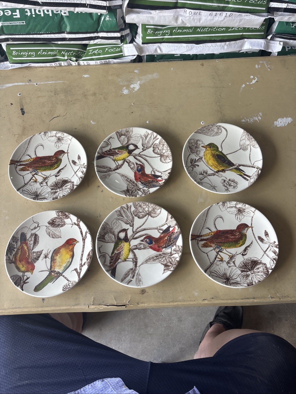 William And Sonoma Botanical Birds 2012 6 Luncheon /dessert Plates