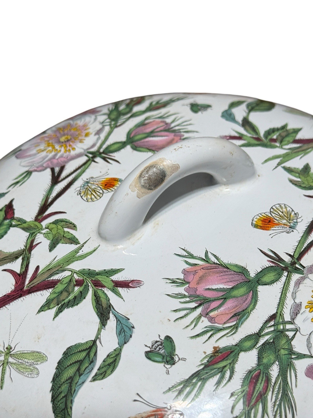 Portmeirion The Botanic Garden Circa 1972 Dog Rose Casserole Pot with Lid Spain