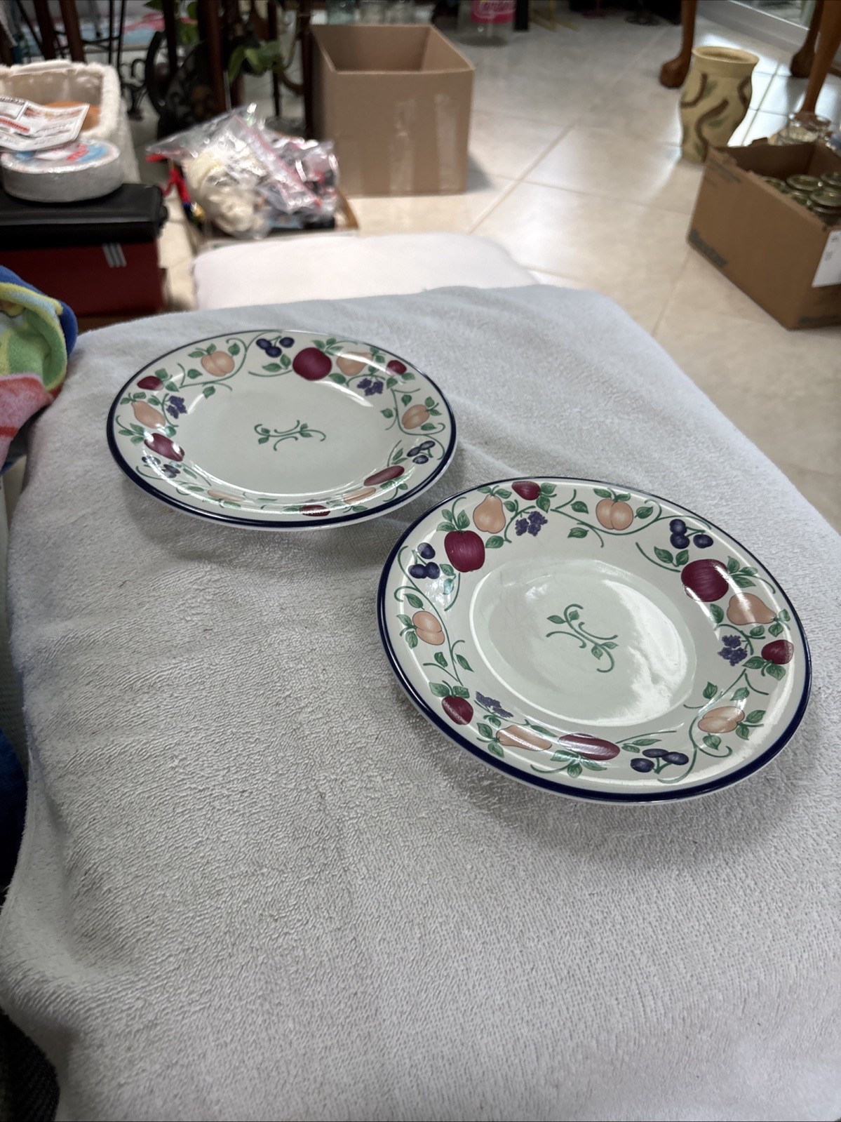 2-Princess House Orchard Medley 7 7/8″ Salad Plates Excellent Condition