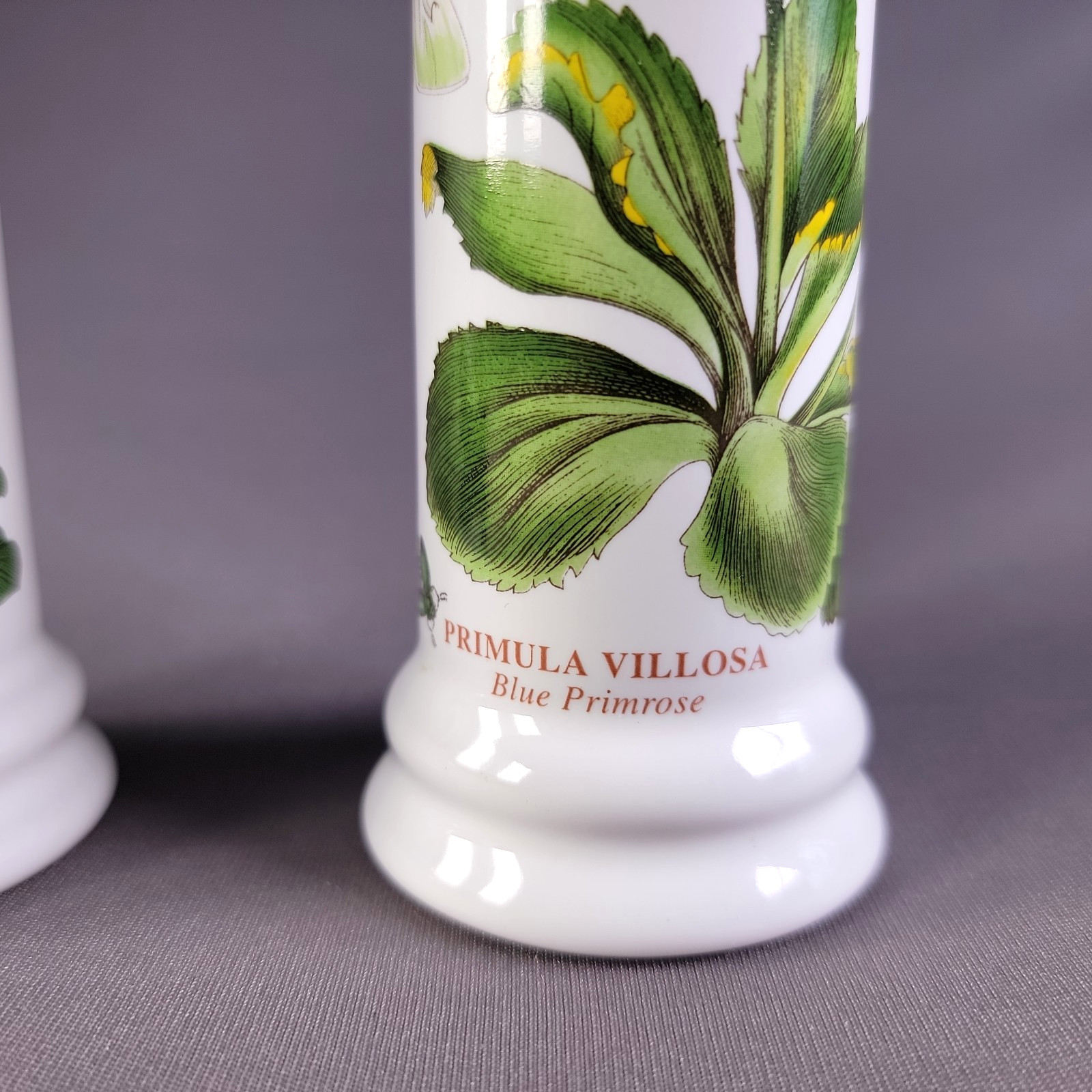 Portmeirion Botanic Garden Salt and Pepper Grinder Blue Primrose and Pansy Set
