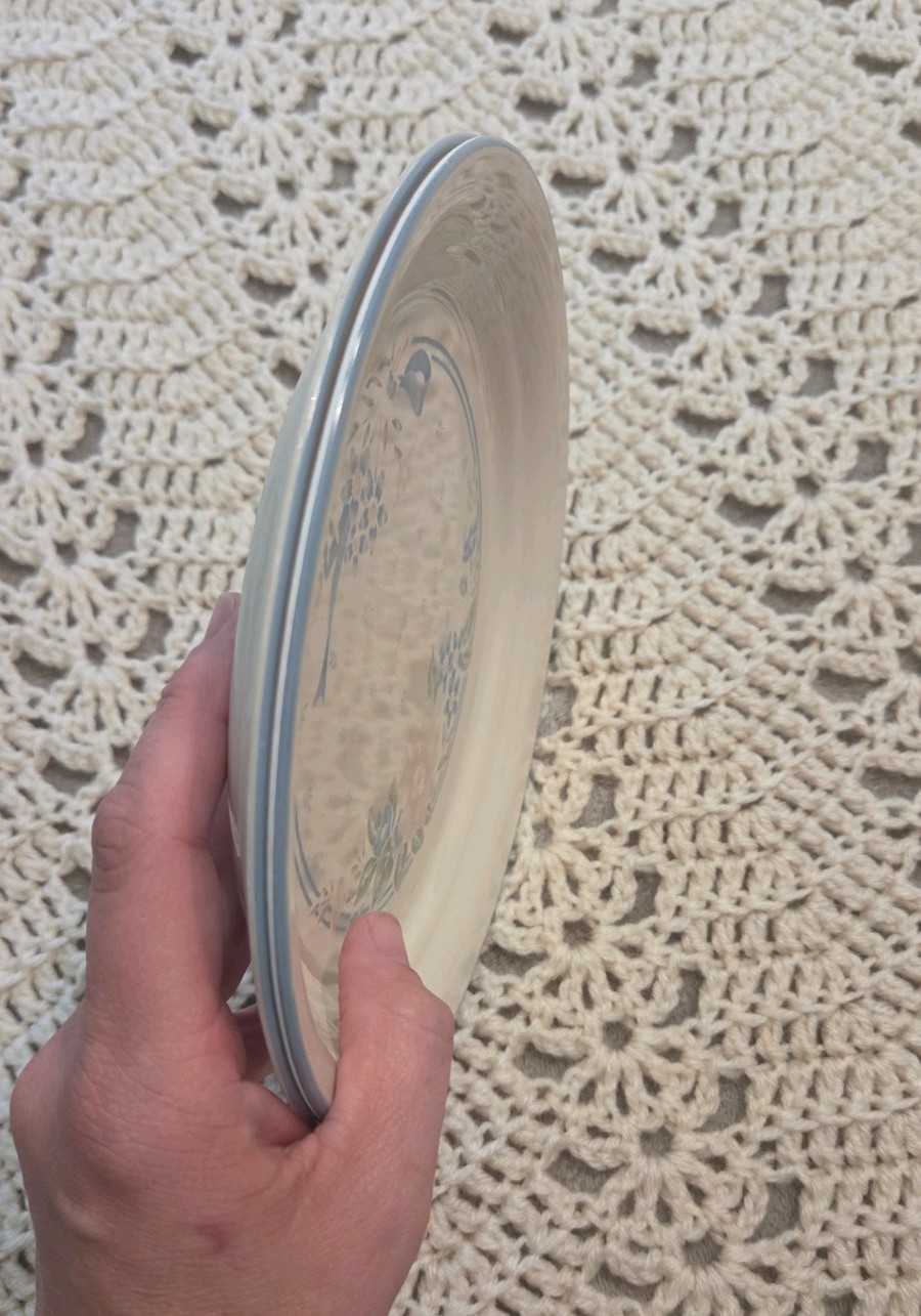 Set of 2- 8.5″ Corelle Symphony Luncheon Plates Pair