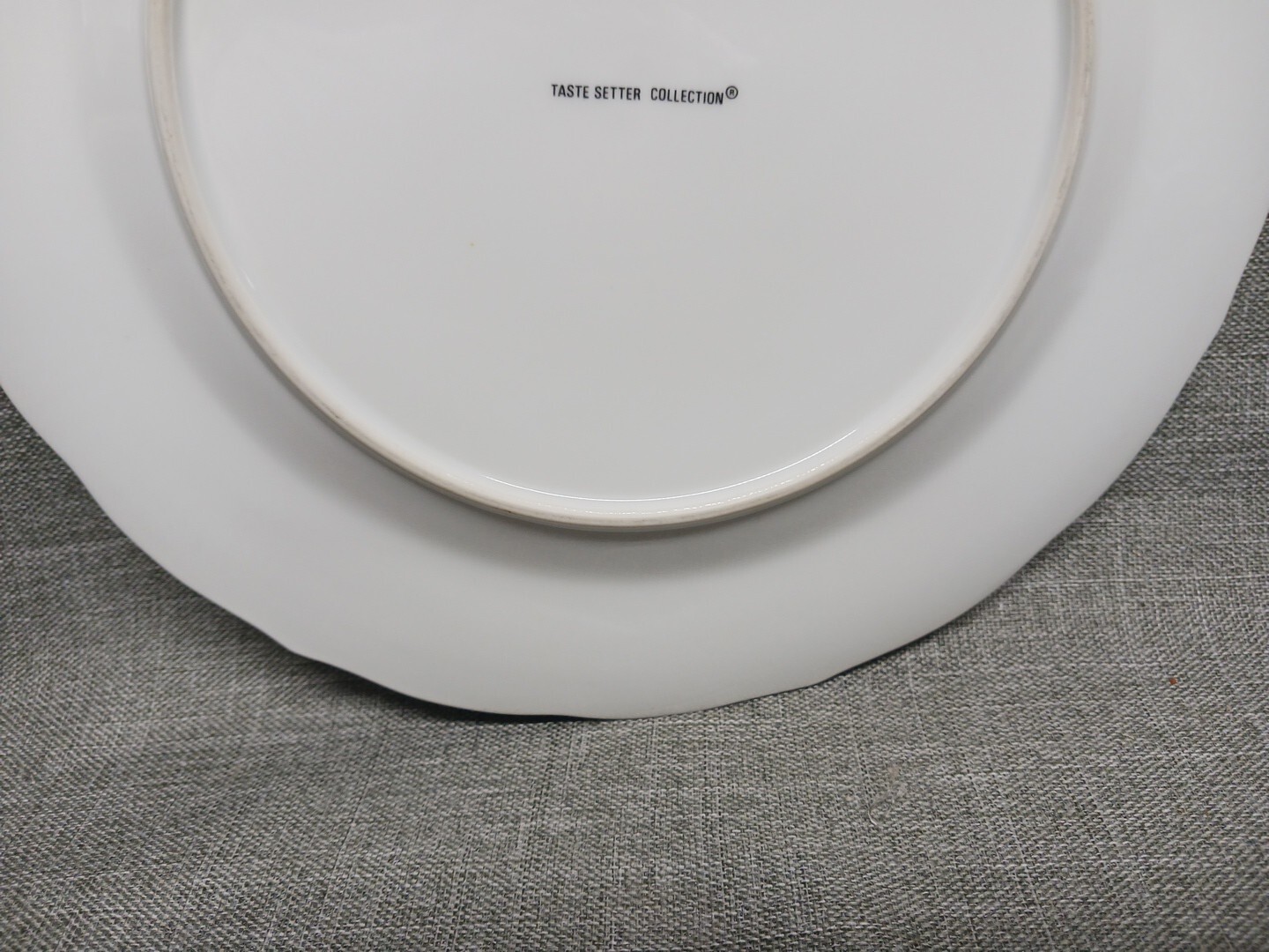 Taste Setter Collection Imperial Vine 10 3/8” Dinner Plate Vines Insects