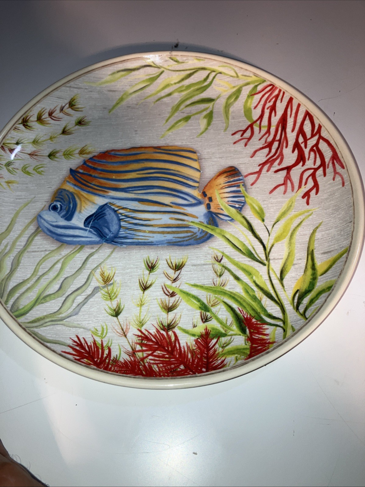 Better Homes & Gardens Lot of 2 Melamine Sea Life 8.5″ Plates Seahorse & Fish