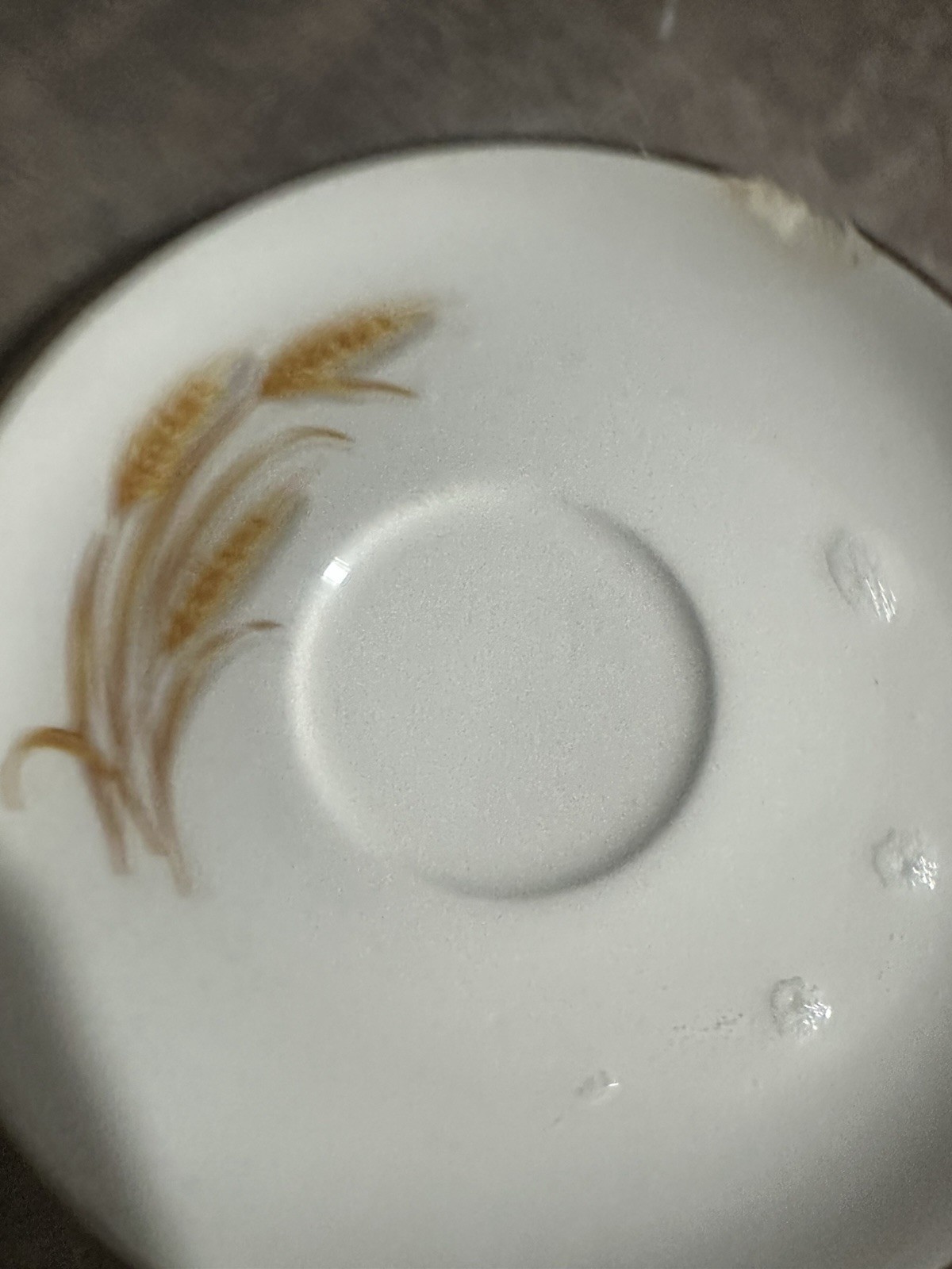 Vintage Golden Wheat dish set