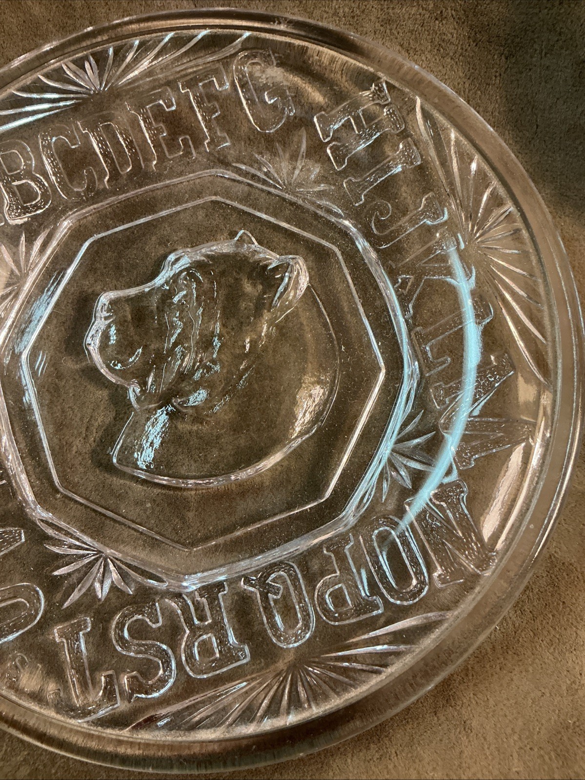 Bryce Higbee and Co. Rovers ABC plate 1880s pattern glass child’s dog plate