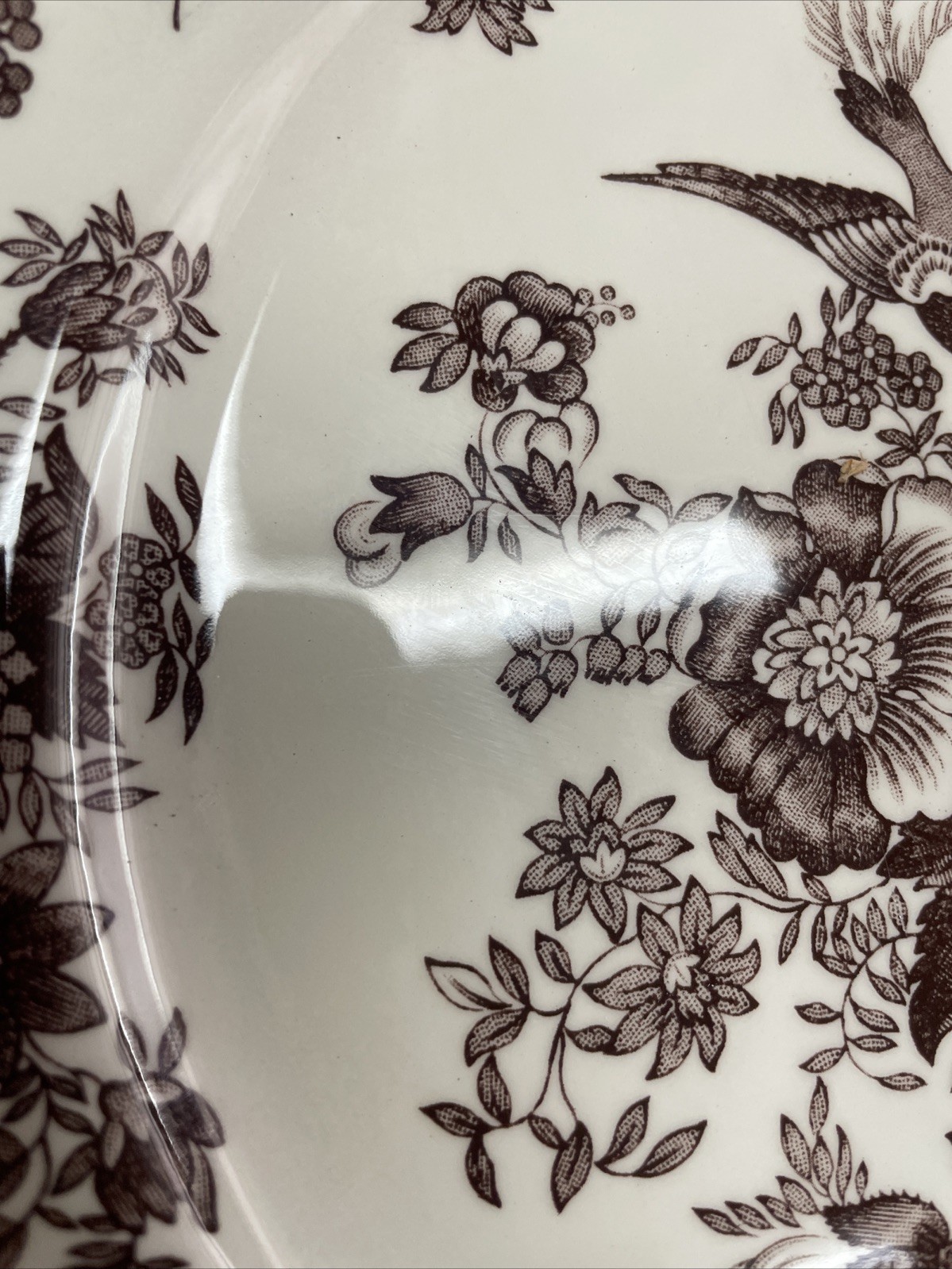 Royal Stafford Brown Transferware 11 “Dinner Plate Asiatic Pheasant