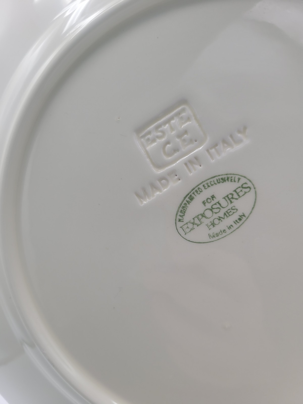6 Este C.E. Italy Exposures Homes 10.5″ Dinner Plates Silver Ivory Sage Floral