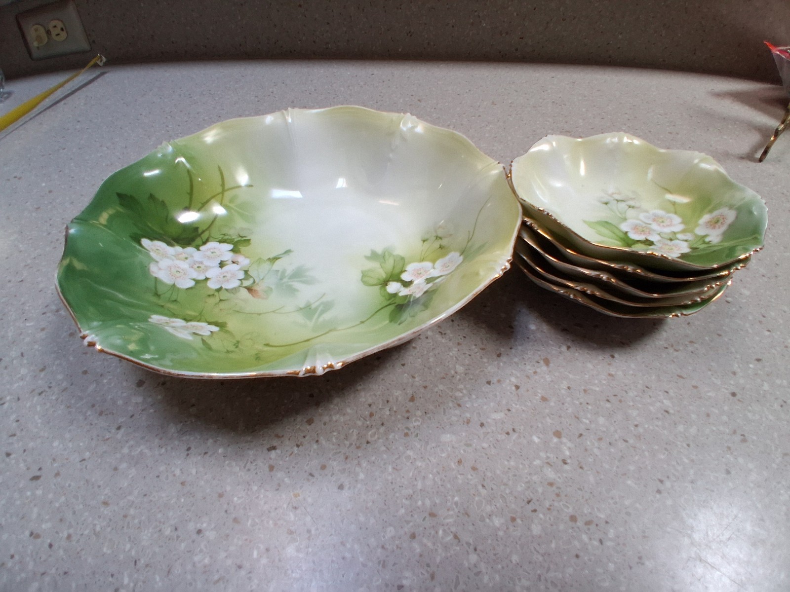 RS PRUSSIA GERMANY ANTIQUE BERRY SET (DOGWOOD PATTERN) Gorgeous patina