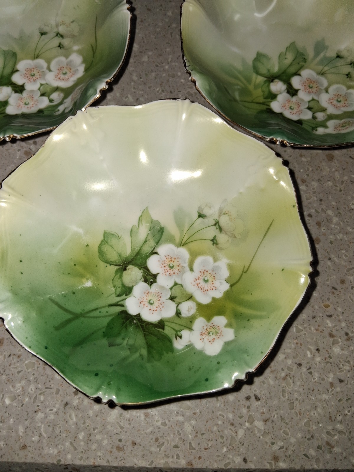 RS PRUSSIA GERMANY ANTIQUE BERRY SET (DOGWOOD PATTERN) Gorgeous patina
