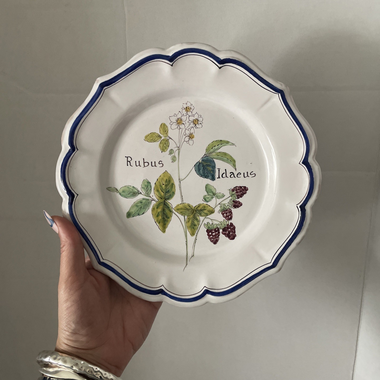 Vintage ND Dolfi Montelupo Italy Floral Wall Plates Set of 2