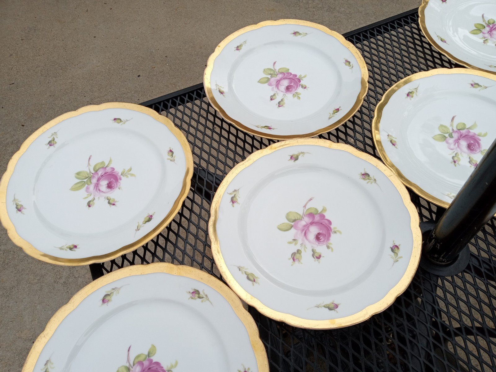12 Antique Helena Wolfsohn DRESDEN ROSE Porcelain Dinner Plate OVINGTON BROS NY
