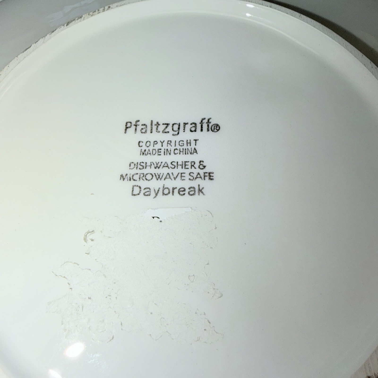 Pfaltzgraff Daybreak Turkey Buffet Plate 8” Embossed Thanksgiving Floral
