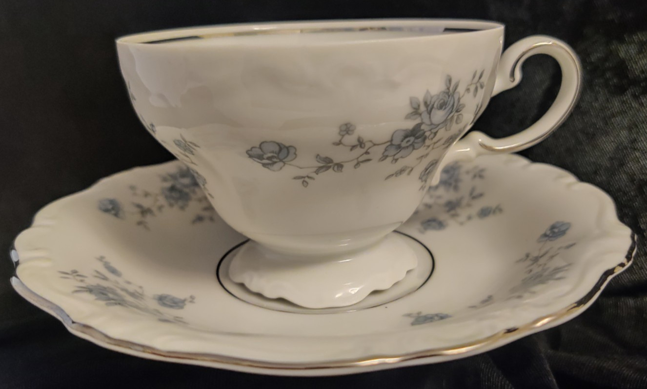 Footed Teacup And Saucer Blue Garland (Bavaria Backstamp) Johann Haviland
