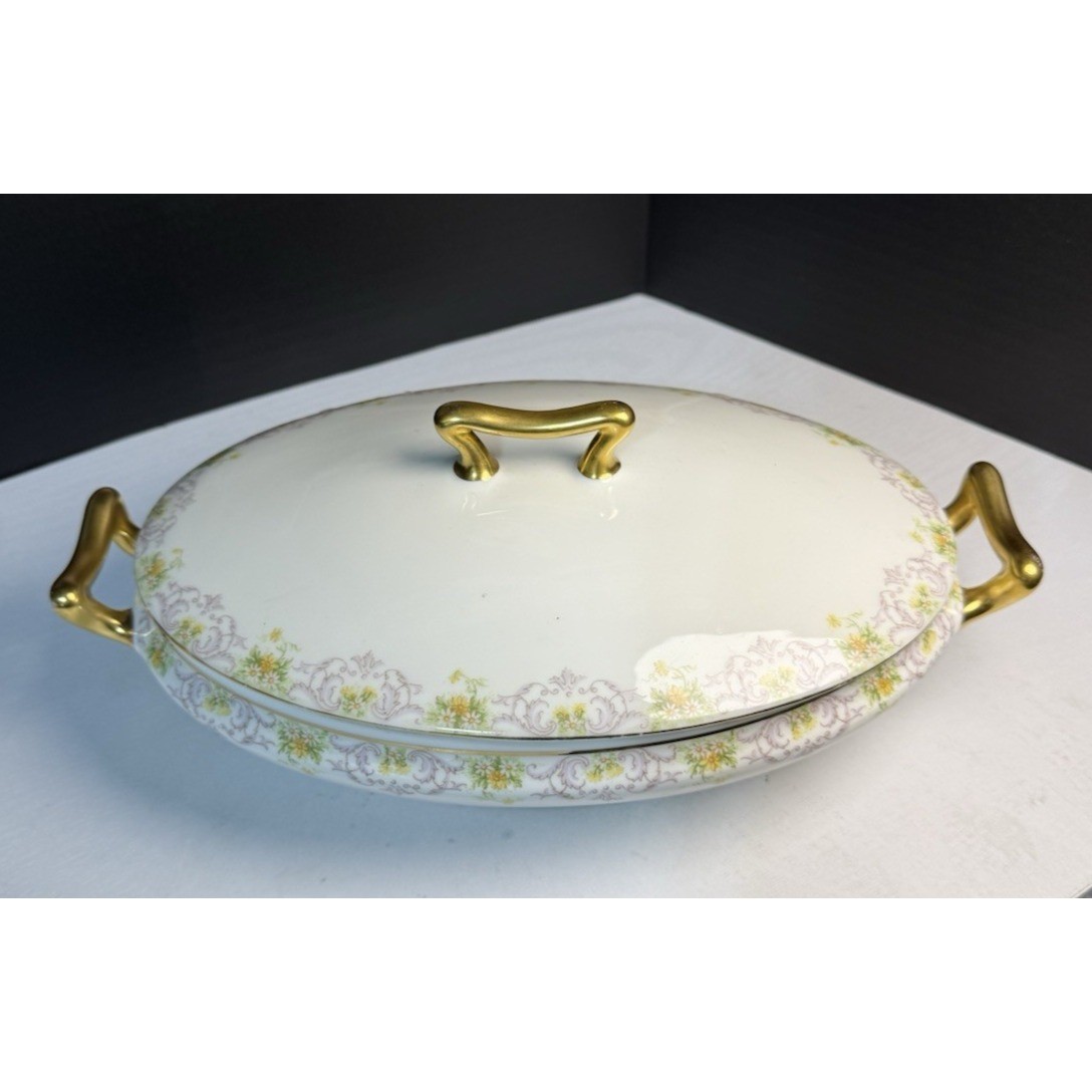 ATQ Limoges Elite Works Bawo & Dotter BWD647 Oval Covered Vegetable Server 12″