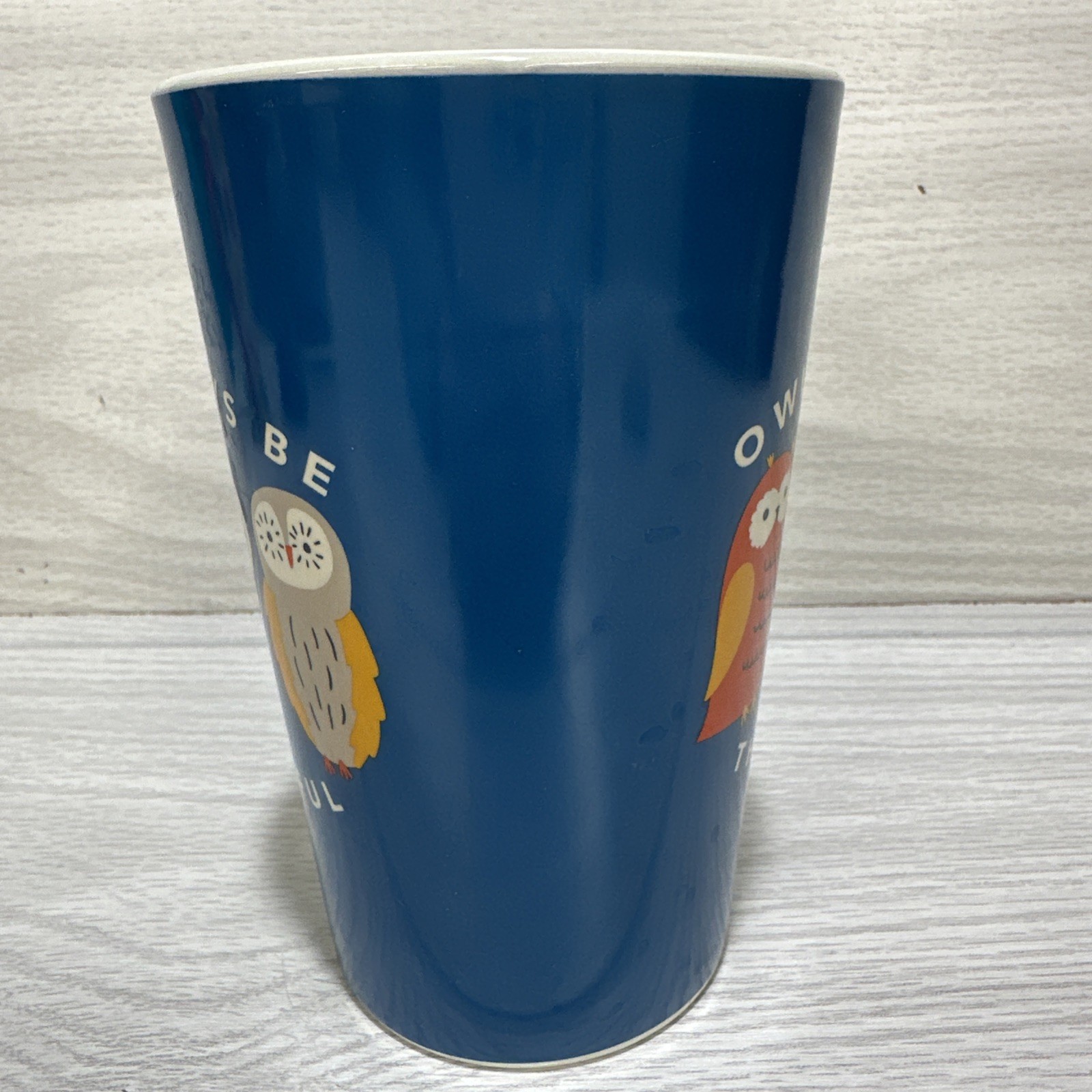 HOLIDAY HOME Ceramic 22oz Latte Coffee Mug Owl-Ways Be Thankful