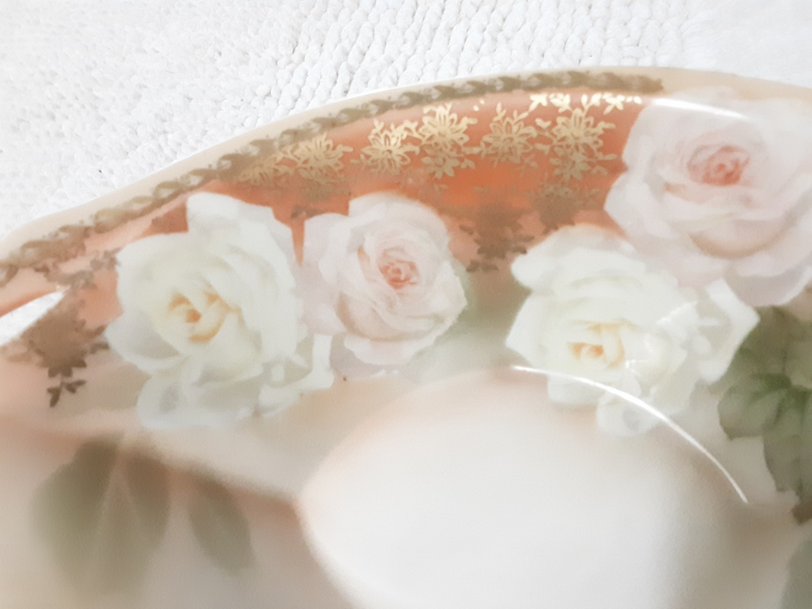 RS Tillowitz Silesia Bowl Oval Footed Pale Peach Orange white Pink Roses 8″