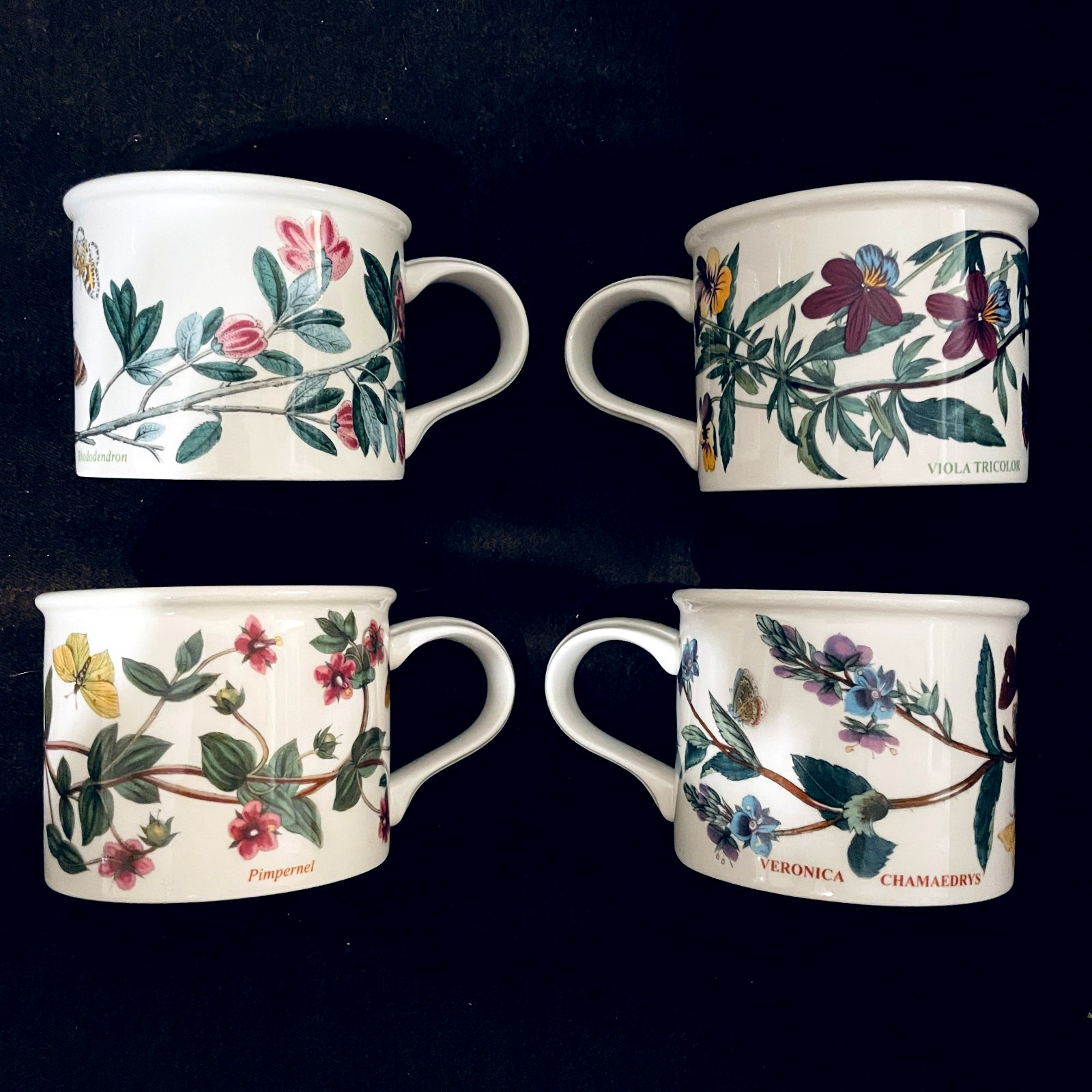 Portmeirion Botanic Garden Set of 4 tea coffee cups, Drum Bottoms – England