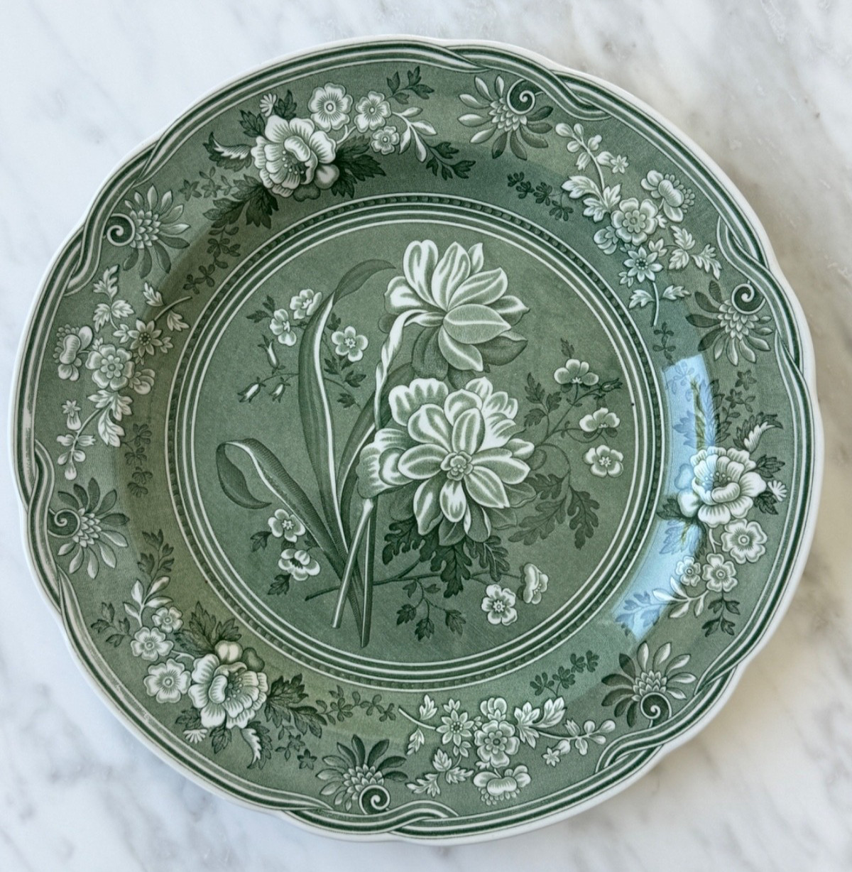 Spode Green Botanical Plate Georgian Series Archive Collection England 10 1/2″