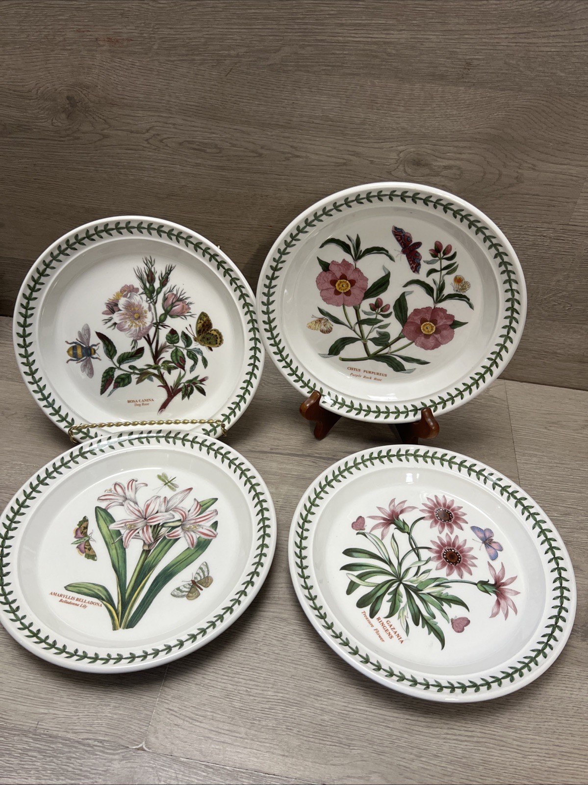 Set Of 4 Portmeirion Susan Williams-Ellis Botanic Garden Salad/Side Plates 8 1/2
