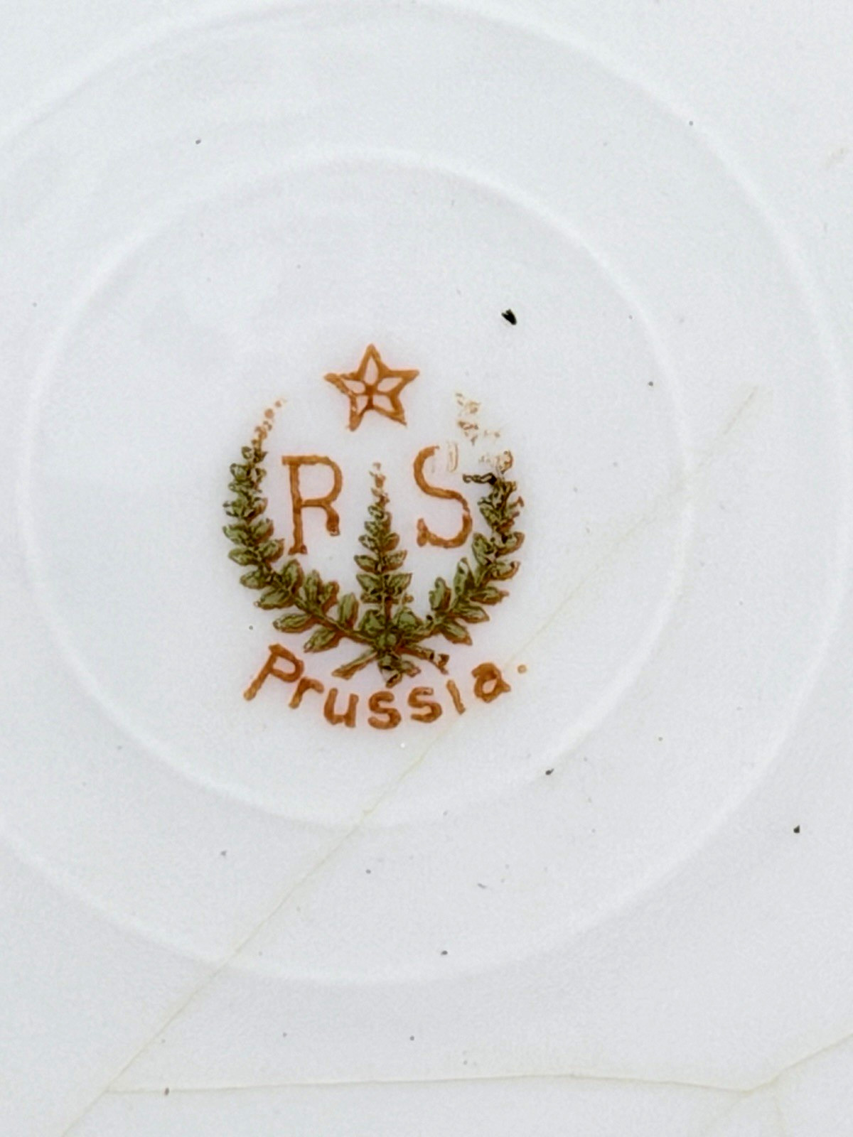 Antique RS Prussia Porcelain Plate Pink Roses Green Gold Molded Leaf 7.75″