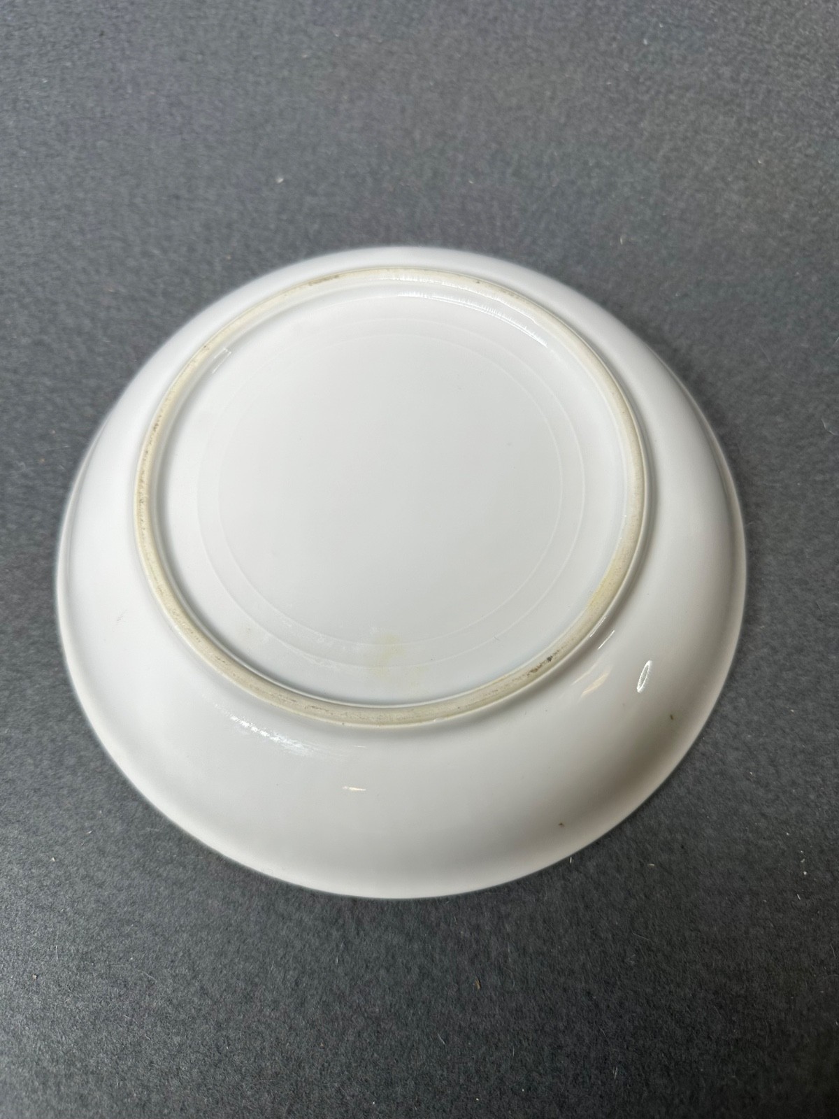Vintage Set of (11) Hand Painted Thomas S Bavaria 7.5″ Bread Plates