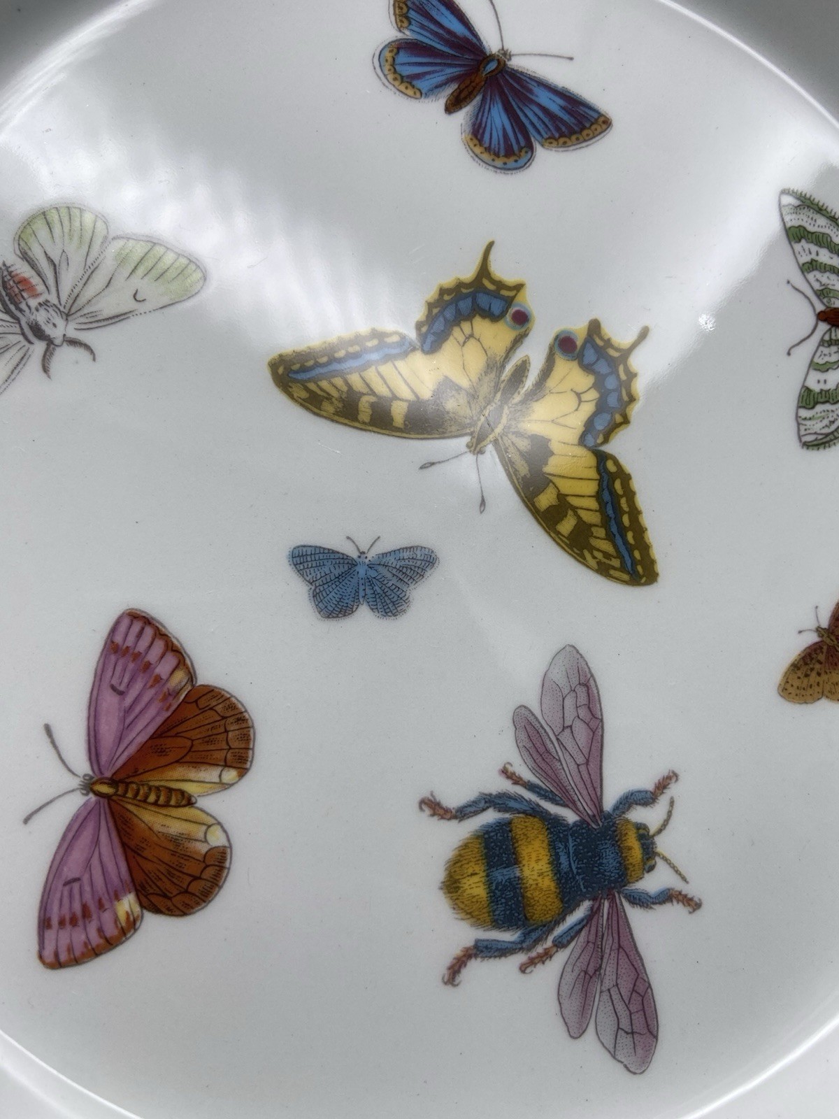 6 Portmeirion Botanic Garden Salad Plates Britain Roses Butterflies 8-1/2”