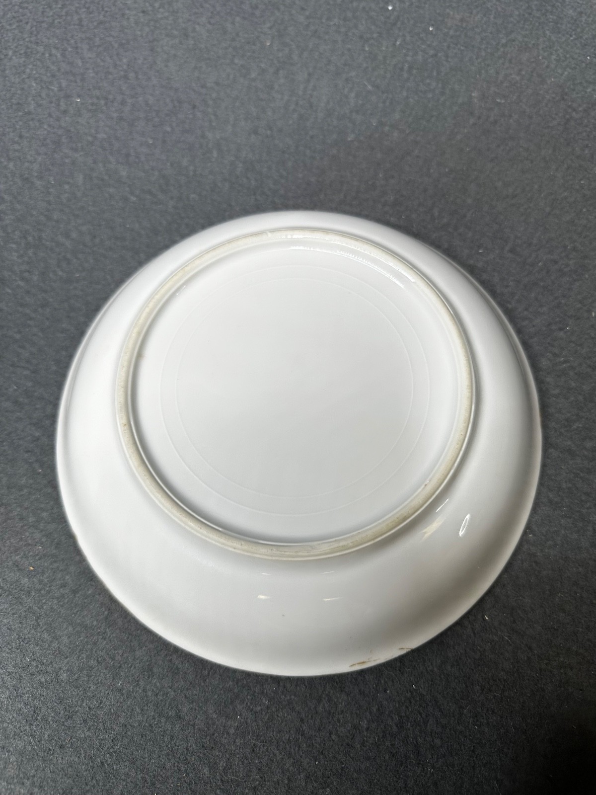 Vintage Set of (11) Hand Painted Thomas S Bavaria 7.5″ Bread Plates