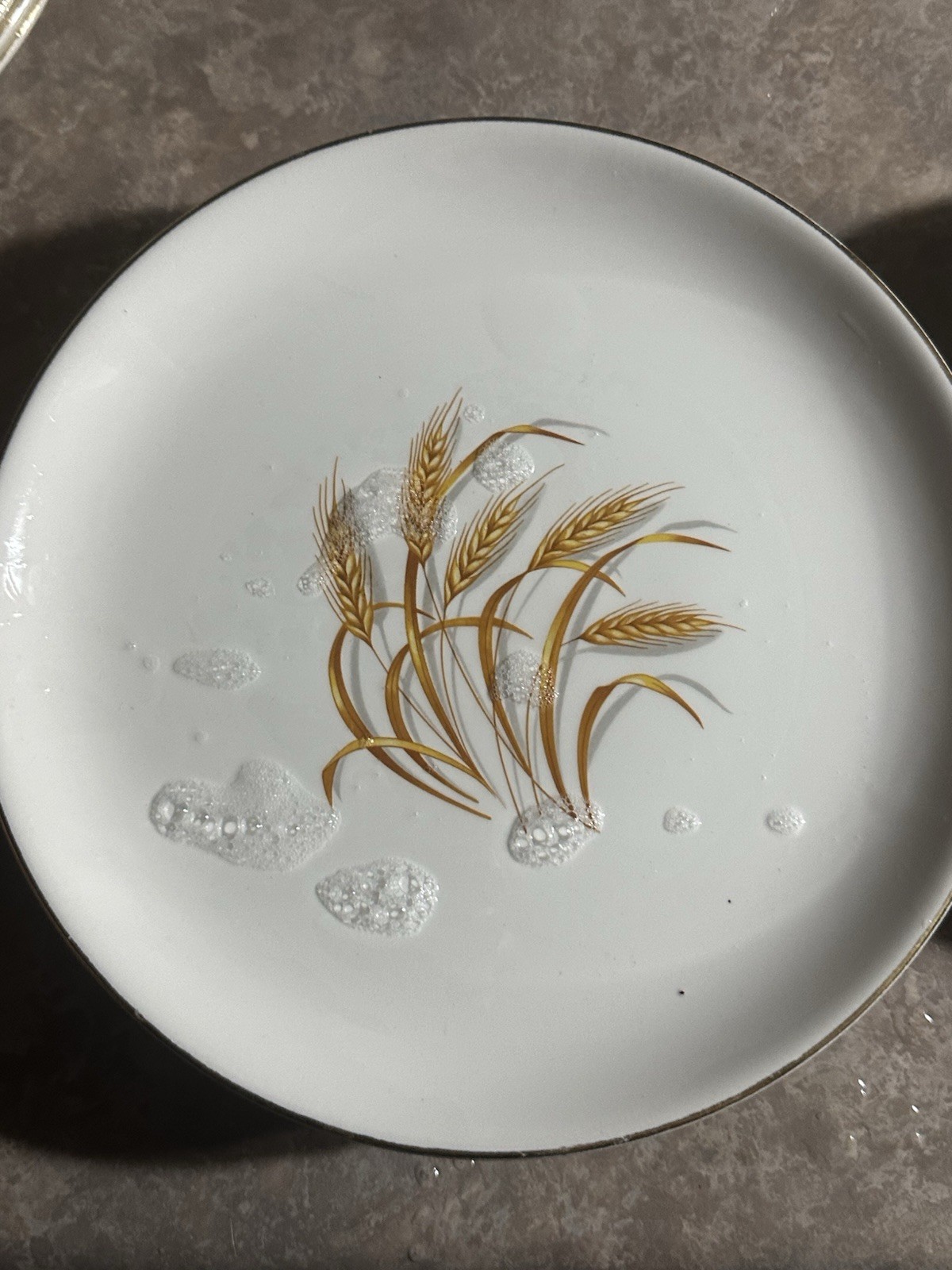 Vintage Golden Wheat dish set