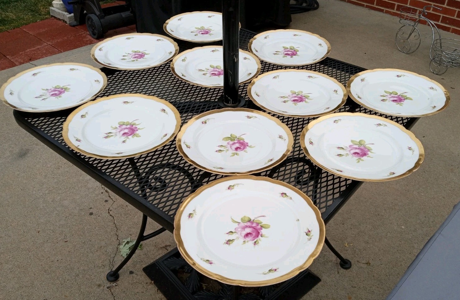 12 Antique Helena Wolfsohn DRESDEN ROSE Porcelain Dinner Plate OVINGTON BROS NY