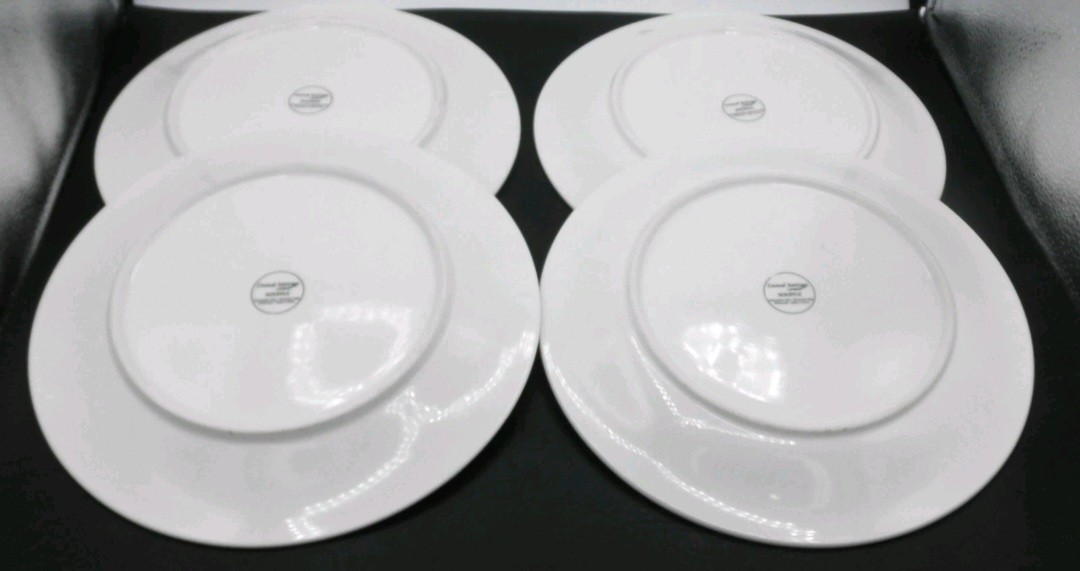 Casual Settings Souffle by Oneida 10 1/4 Inch Dinner Plates Set of 8