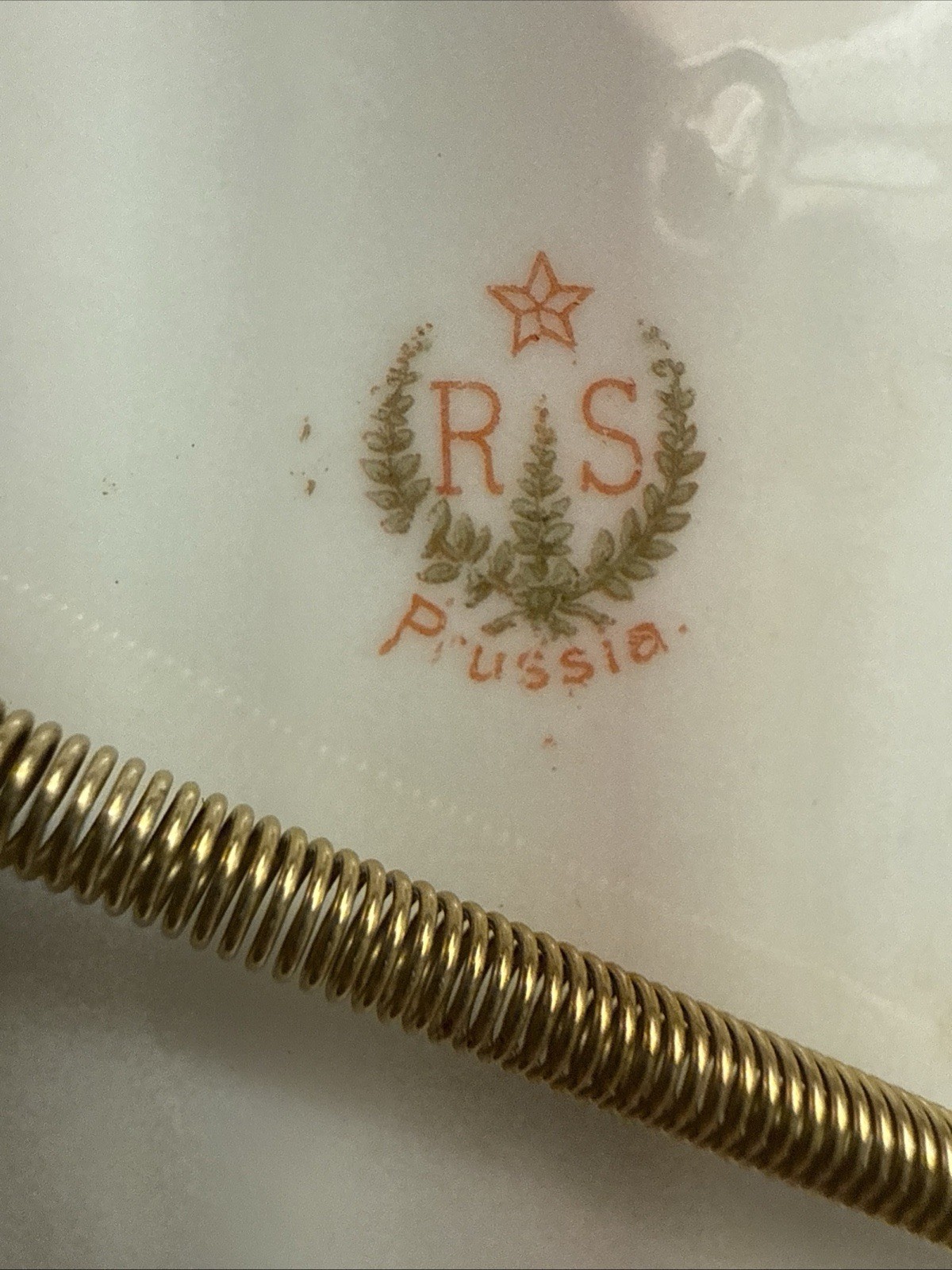 Antique RS Prussia Mold Reflecting Water Lilies Handled Plate 10.25″