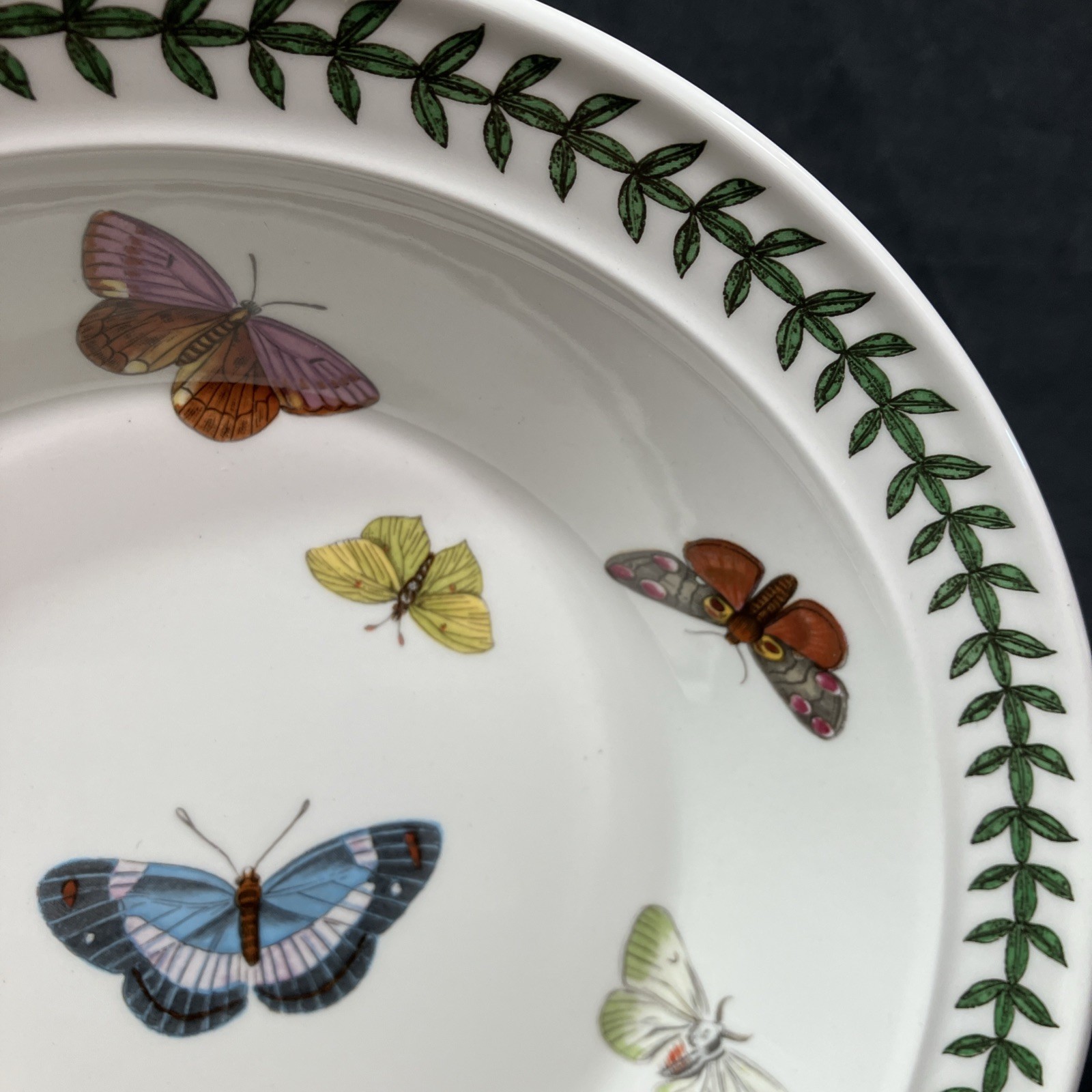 Portmeirion Botanic Garden Rimmed 8.5″ Soup Bowl Butterfly Moth Insect NEW MARK