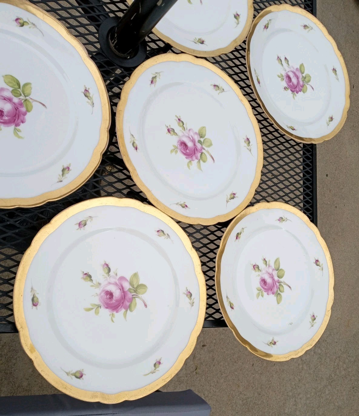 12 Antique Helena Wolfsohn DRESDEN ROSE Porcelain Dinner Plate OVINGTON BROS NY