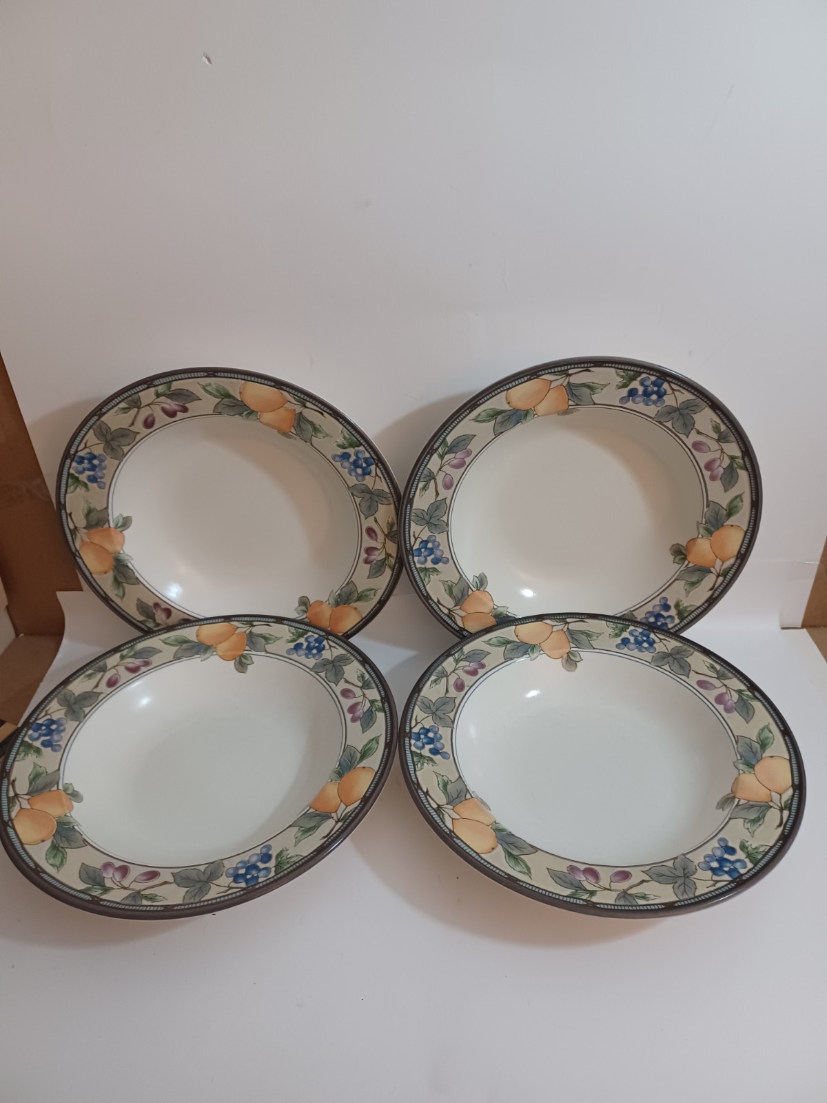 Ten MIKASA INTAGLIO Garden Harvest Rimmed Soup Bowls 9 3/8″ CAC29 Pre-owned