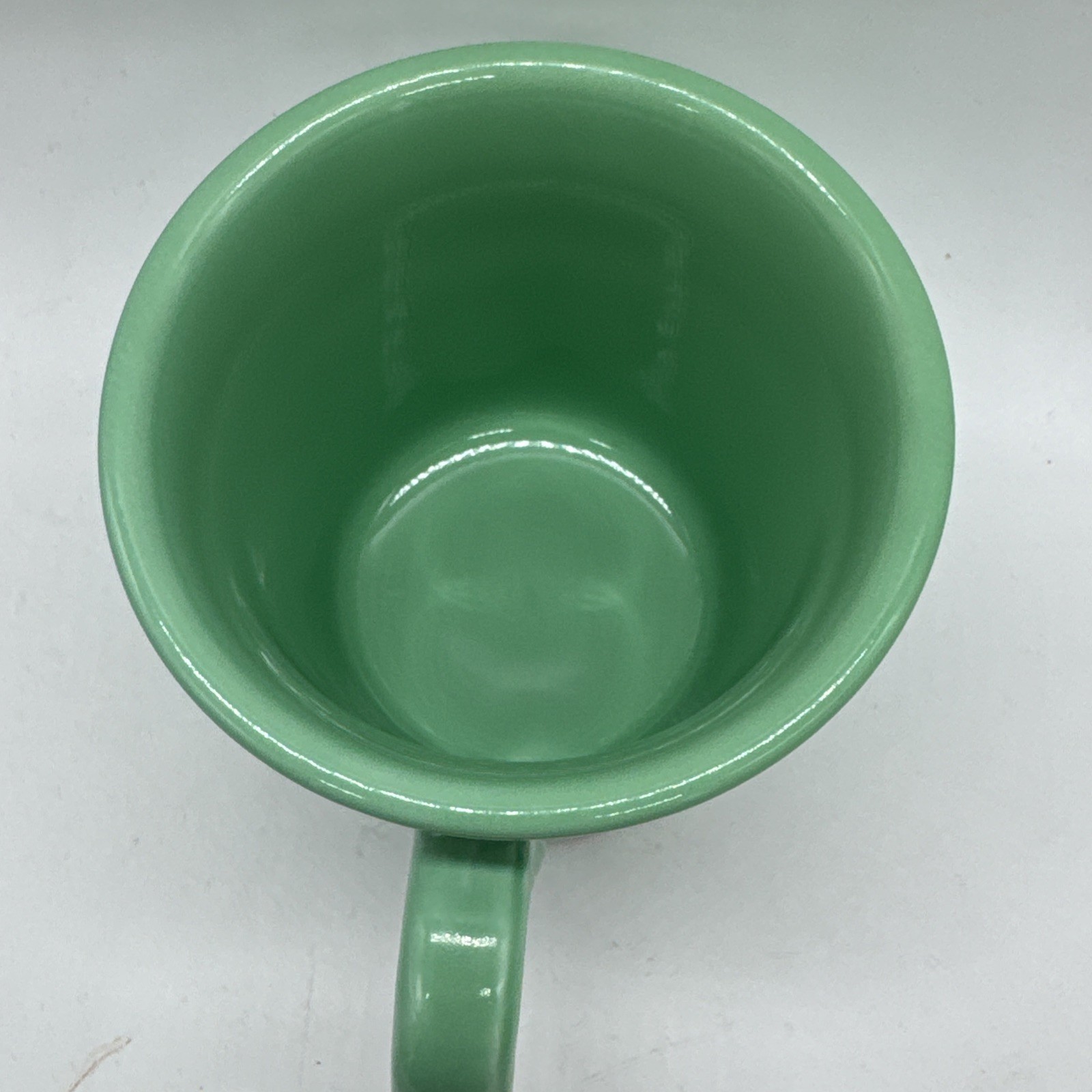 Fiesta Ring-Handled Fan/Horizon Mug SEAMIST #2