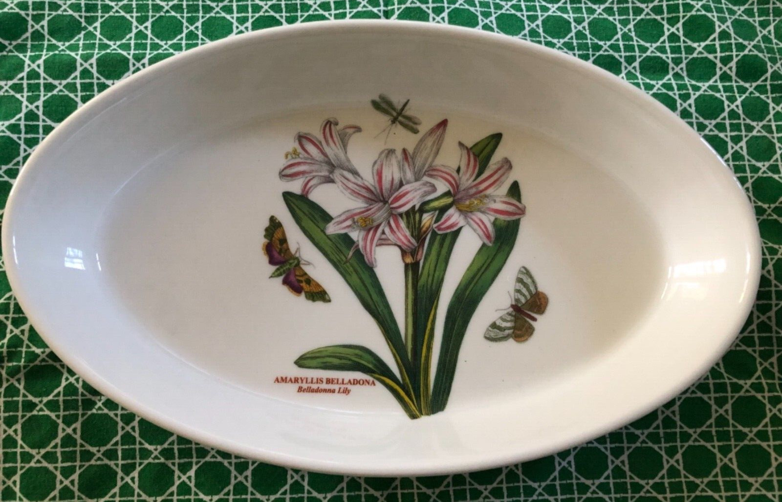 Portmeirion Botanic Garden AMARYLLIS BELLADONNA LILY 11″ Oval Baking Dish —NWT