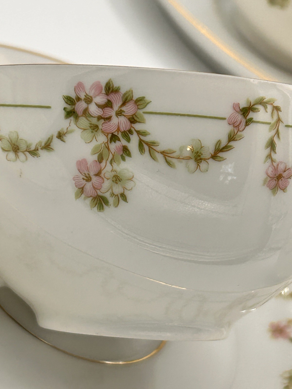 Antique Tirschenreuth Bavaria Arbutus 17 Pc Pink Garland Cups Saucers Servers