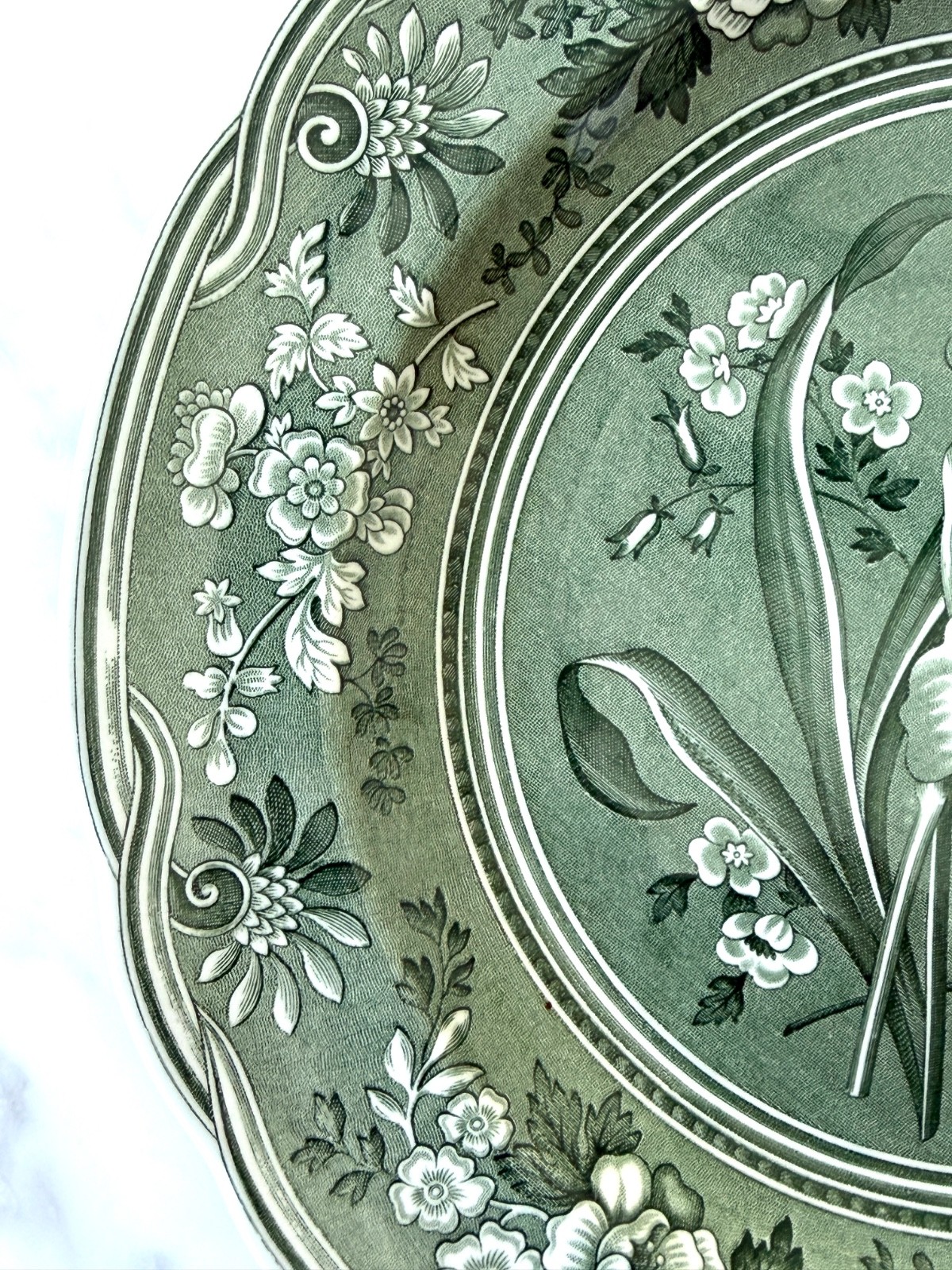 Spode Green Botanical Plate Georgian Series Archive Collection England 10 1/2″