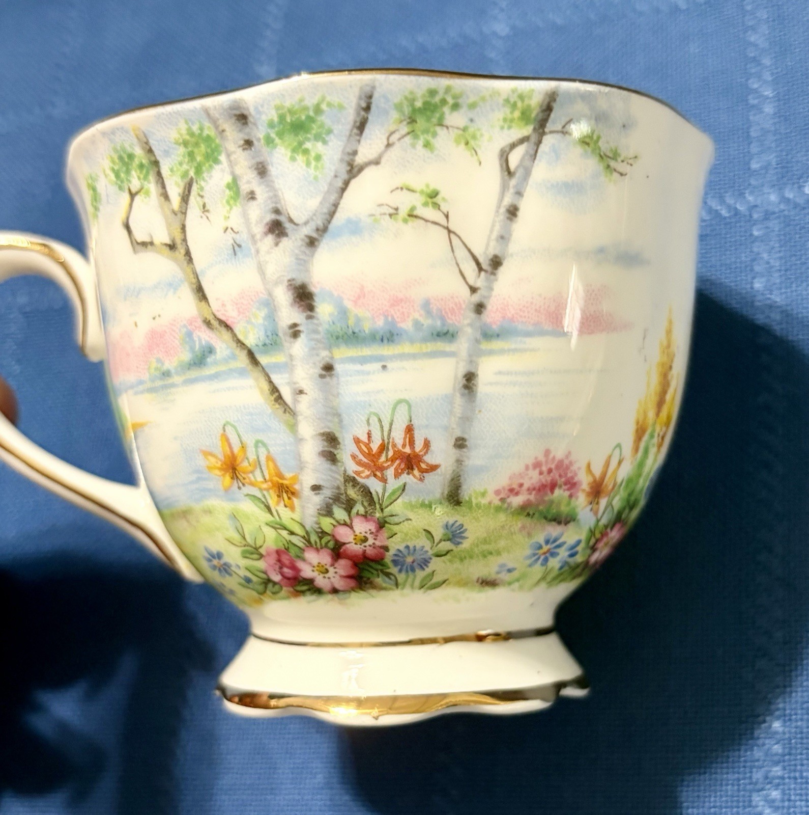 Royal Albert Silver Birch Cake Set for 6 Handled Plate C&S Cups & Saucers Plates