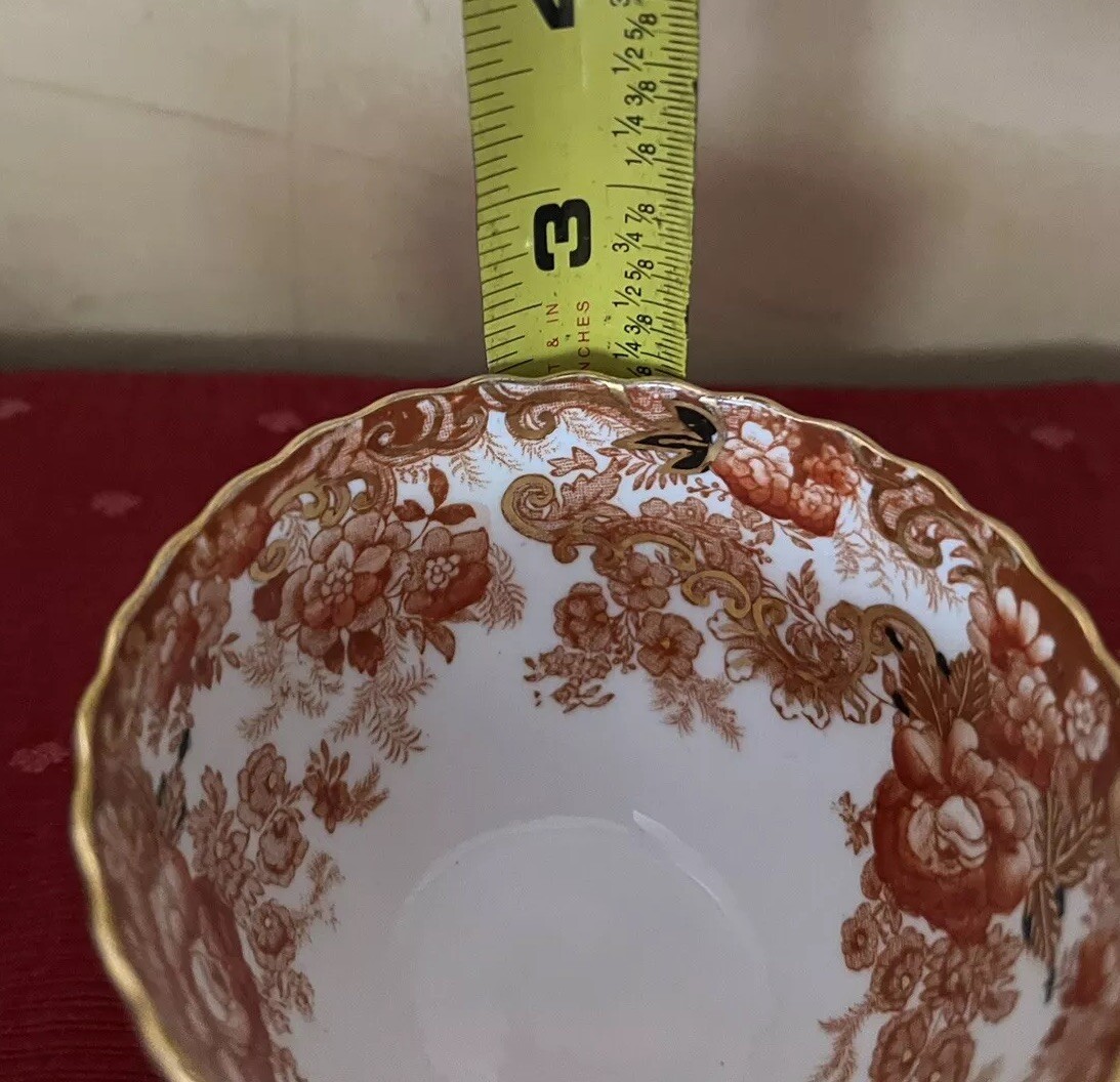 Radfords Fenton Victorian Bone China Tea Cup Saucer Set Gilding Rare