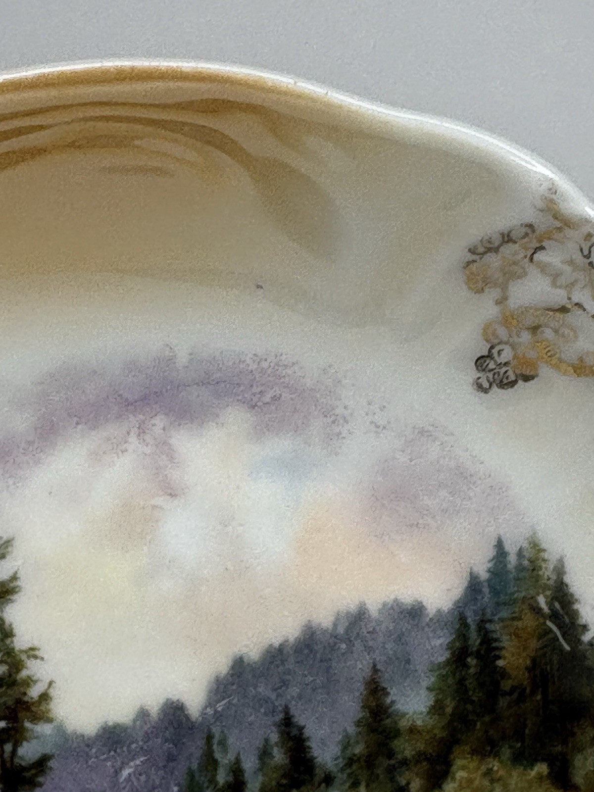 Vintage Porcelain Plate Set Country Riverbank Trees Scene Gold Grape Vine Border