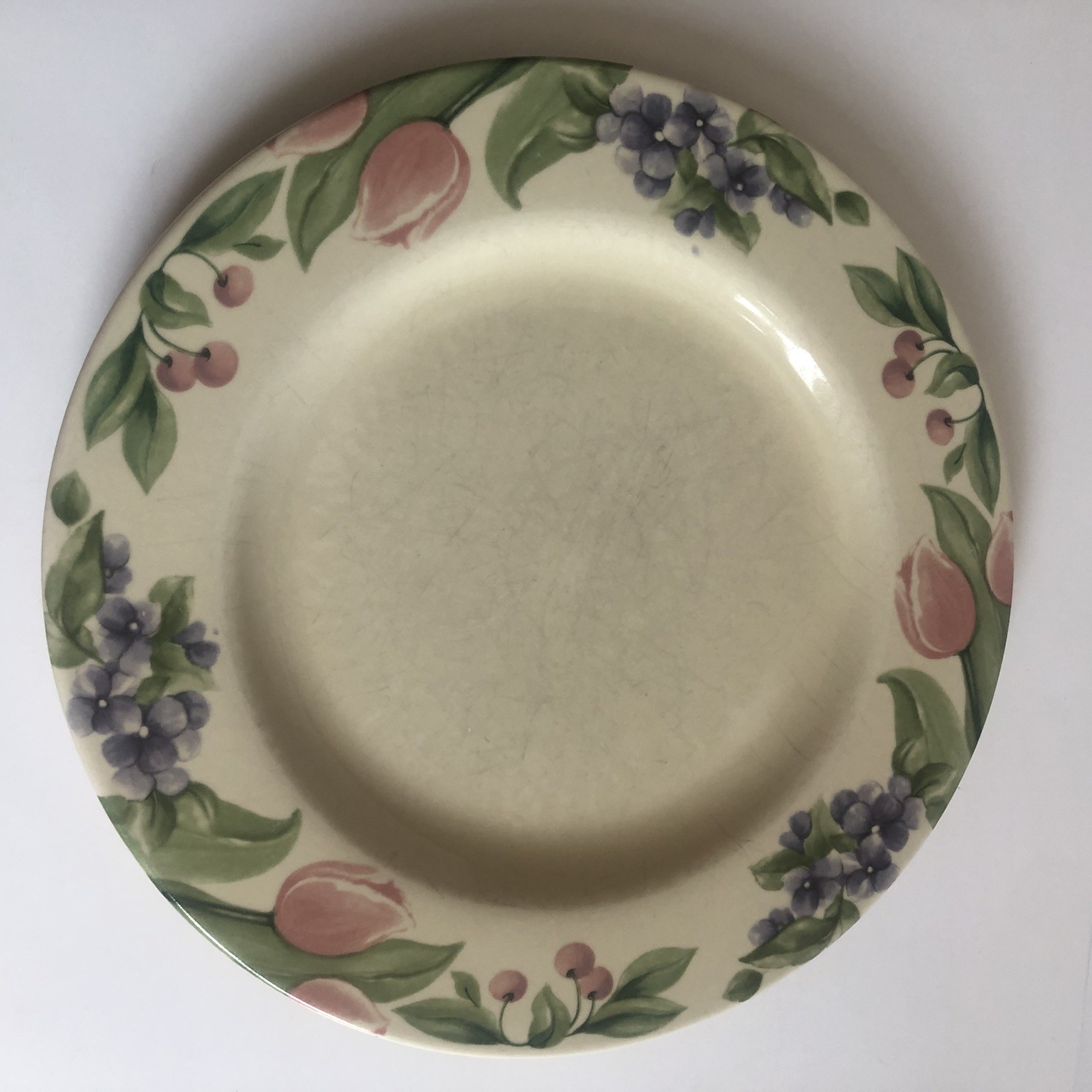 Pfaltzgraff Garden Party Impressions Dinner Plate 10.5″ Sold Separate 8 Availabl