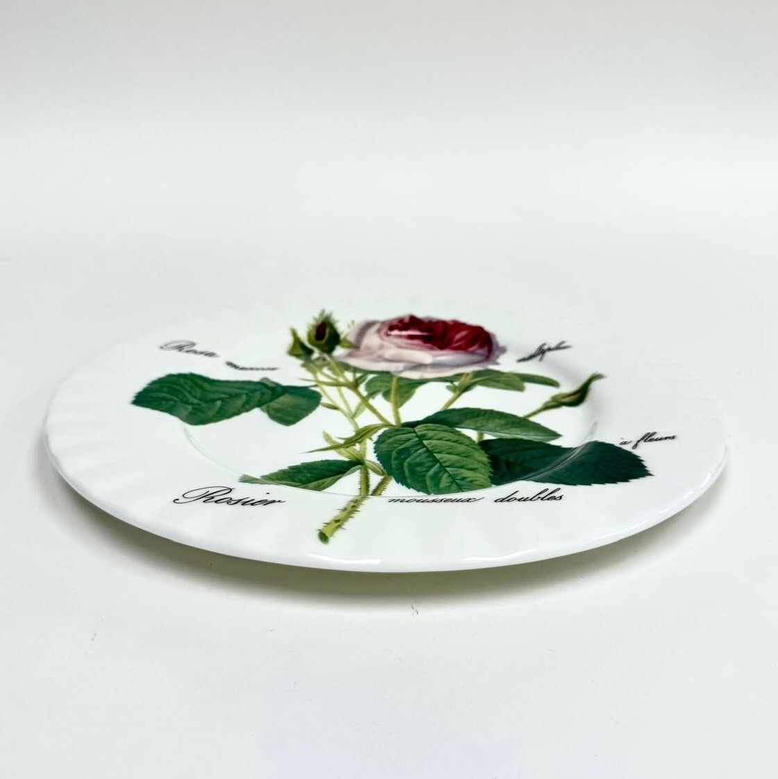 10.75″ Bone Сhina Plate with décor Dinner Plate with Design Redoute Roses