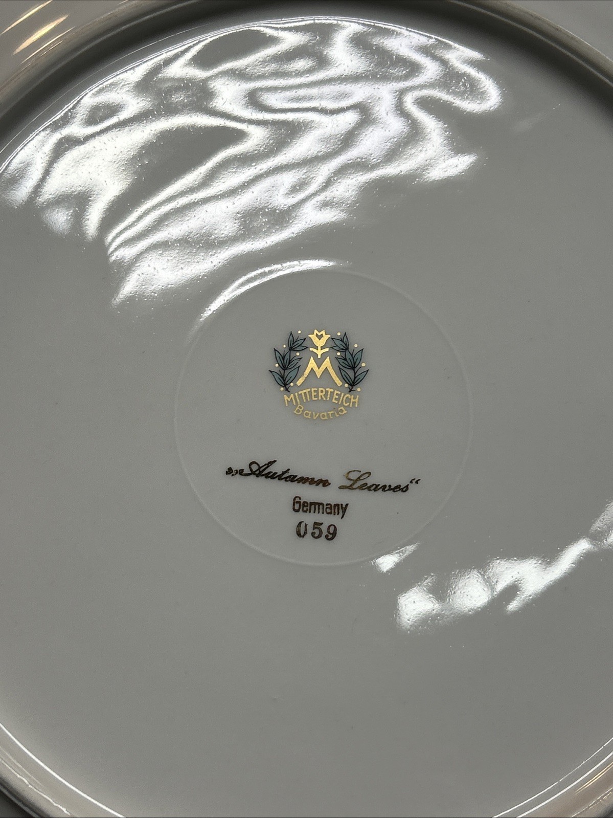 4 mitterteich autumn leaves 10.5”Dinner plates-Made in germany