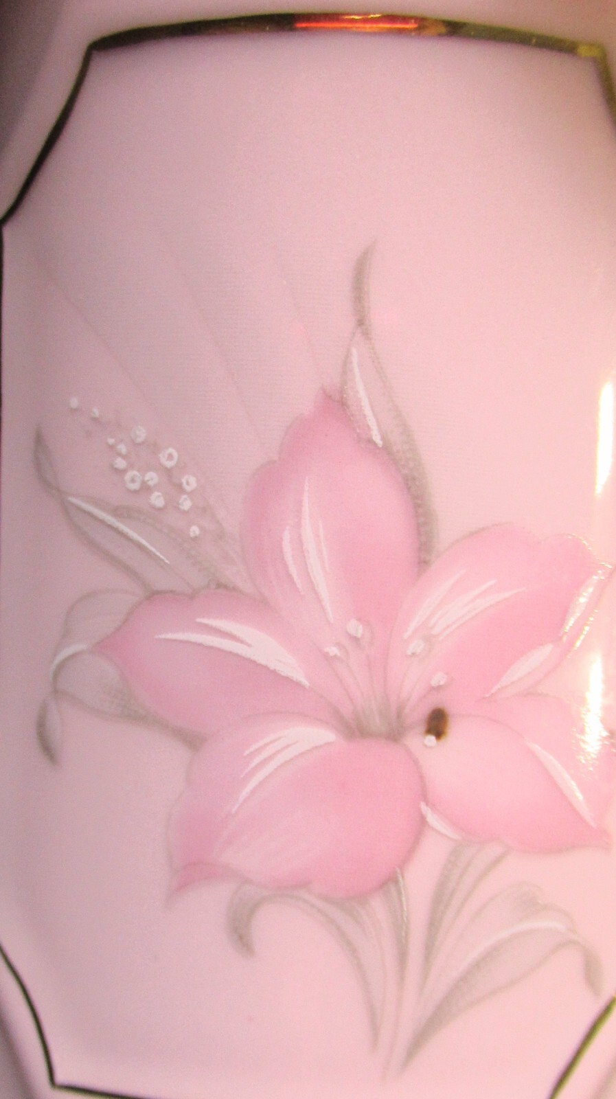 Bohemian 6 Dainty PINK BONE CHINA cups & saucers PLUS bonus tea or coffee jar!