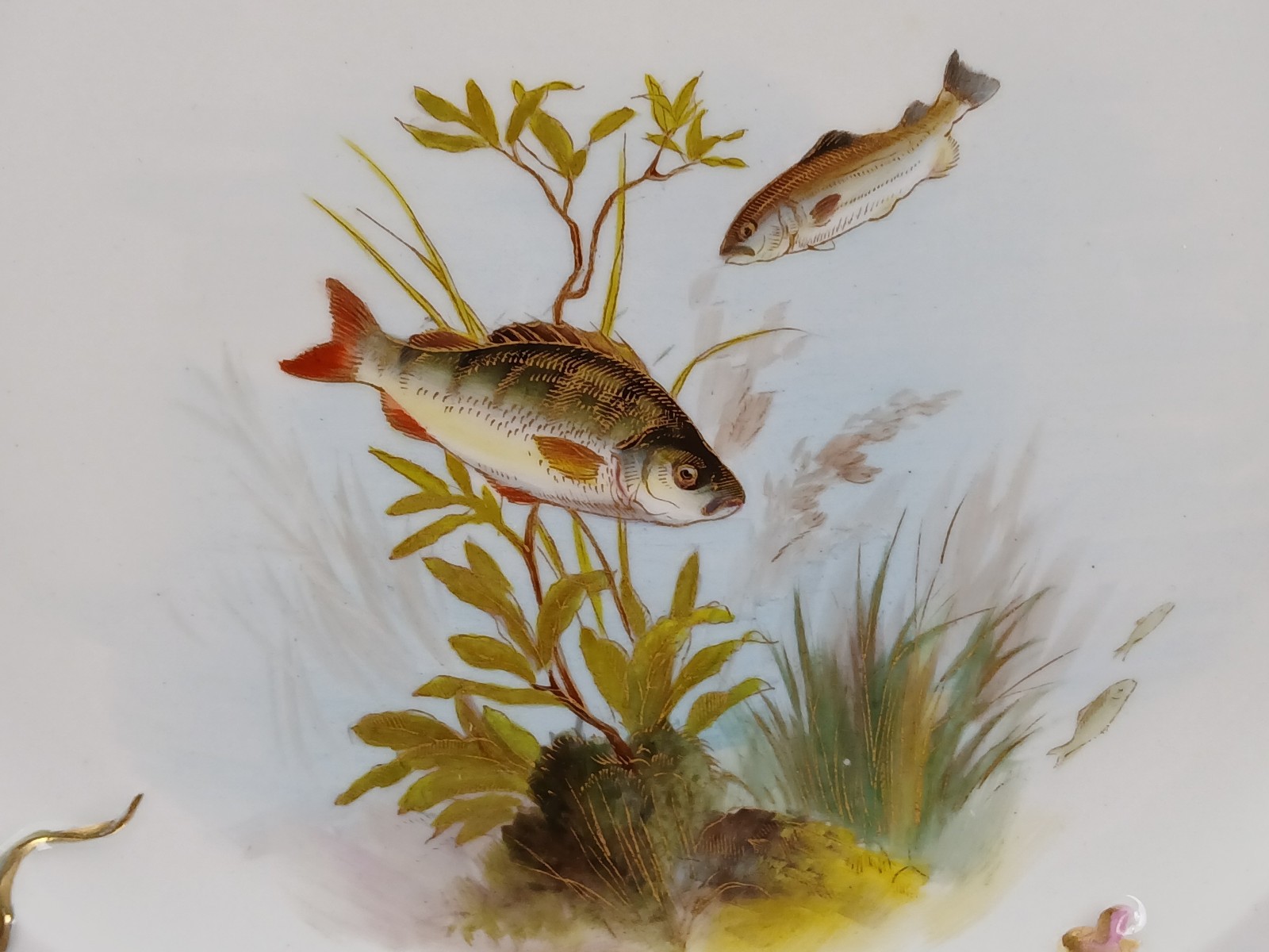 Royal Worcester Hand Painted Fish Relief Molded Seaweed Gold 9 1/8 Inch Plate B