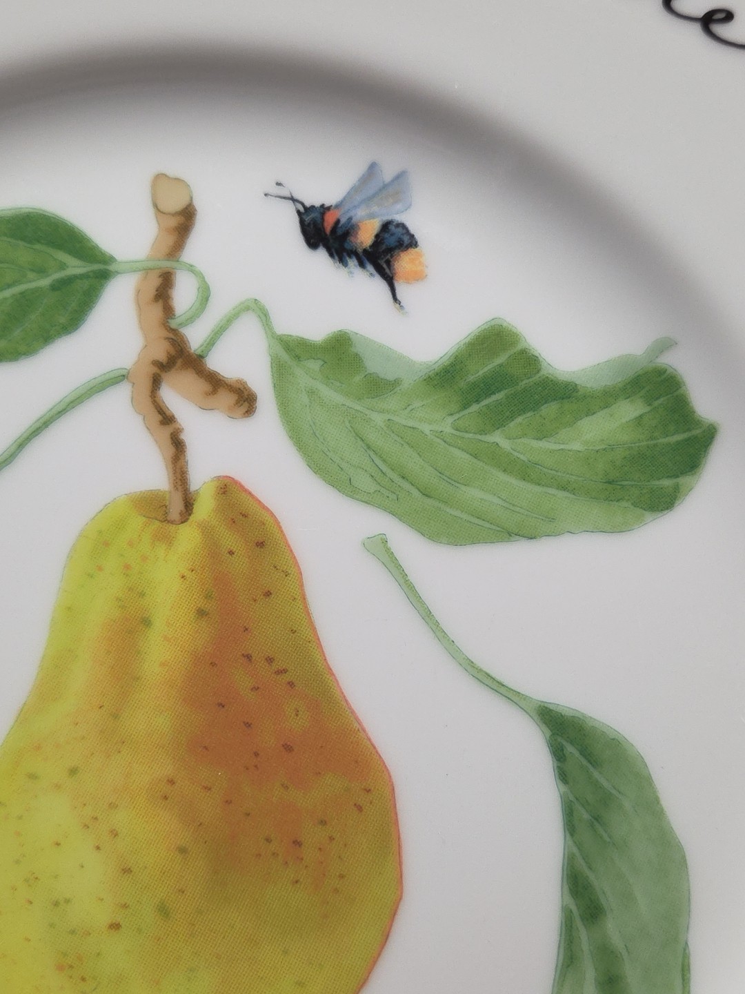 1 x Williams Sonoma Orchard Suite Pear Salad Plate 7 & 7/8″
